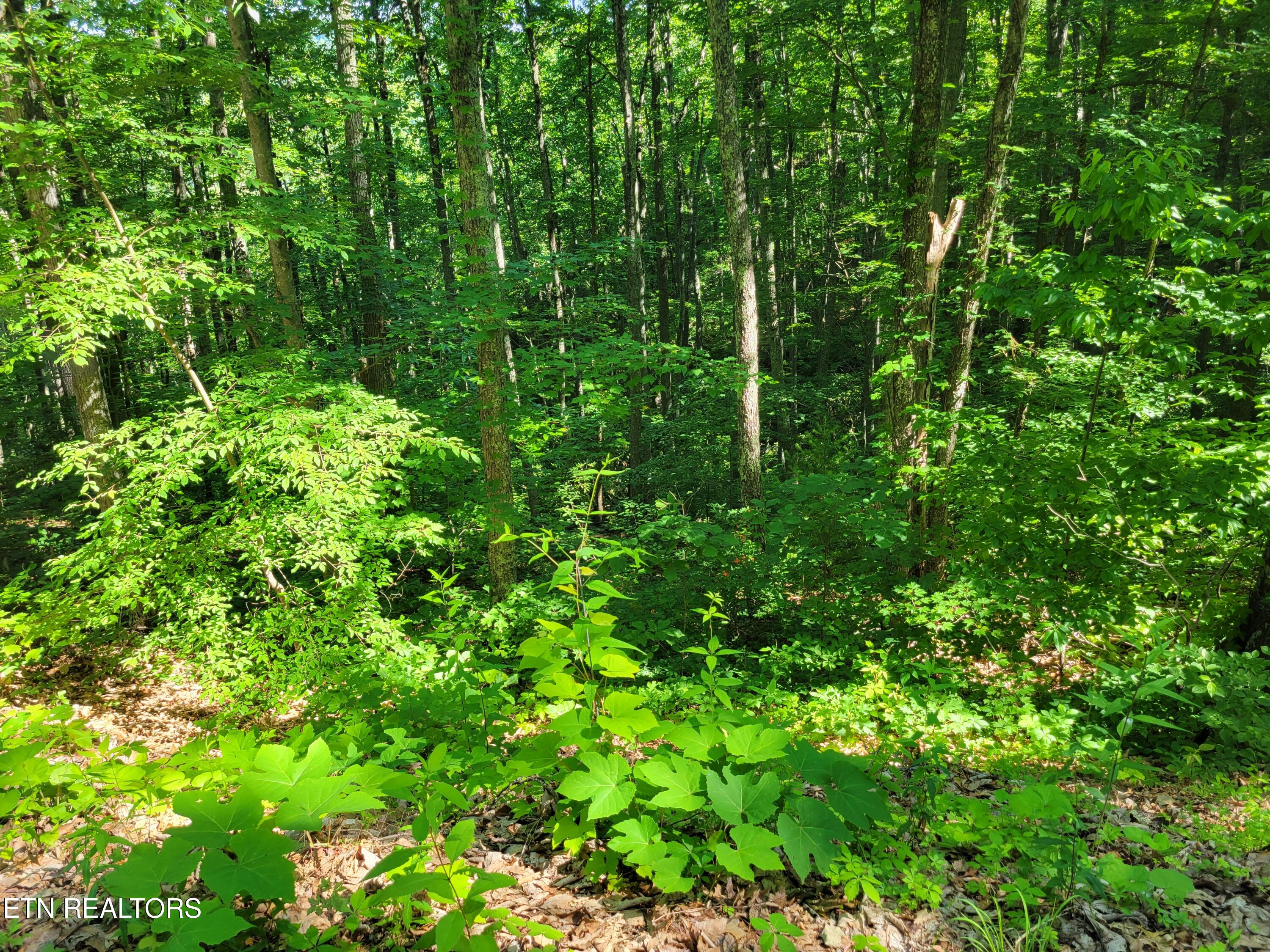 Lot 20 Sunset Drive Sevierville TN 37876