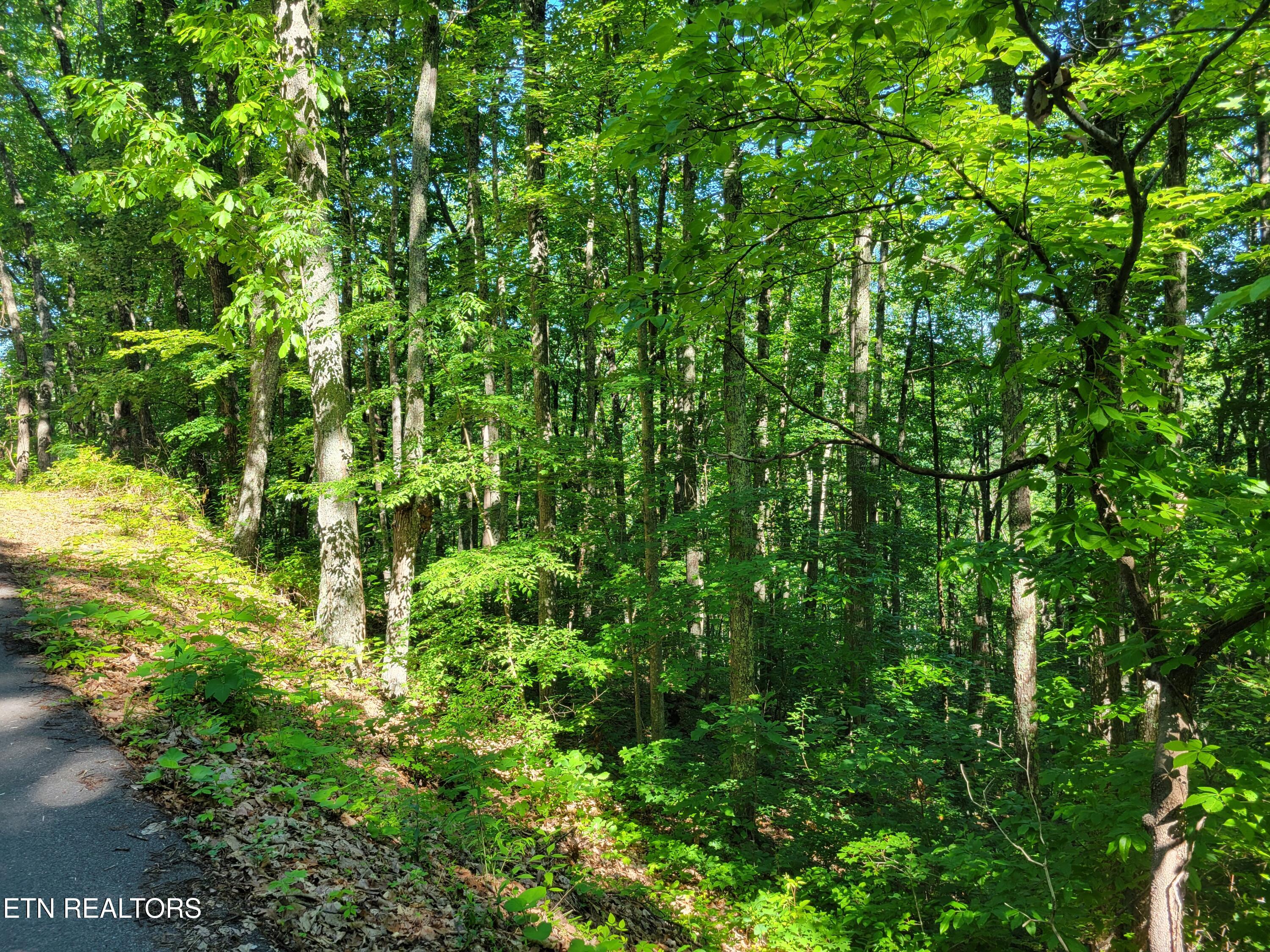 Lot 20 Sunset Drive Sevierville TN 37876