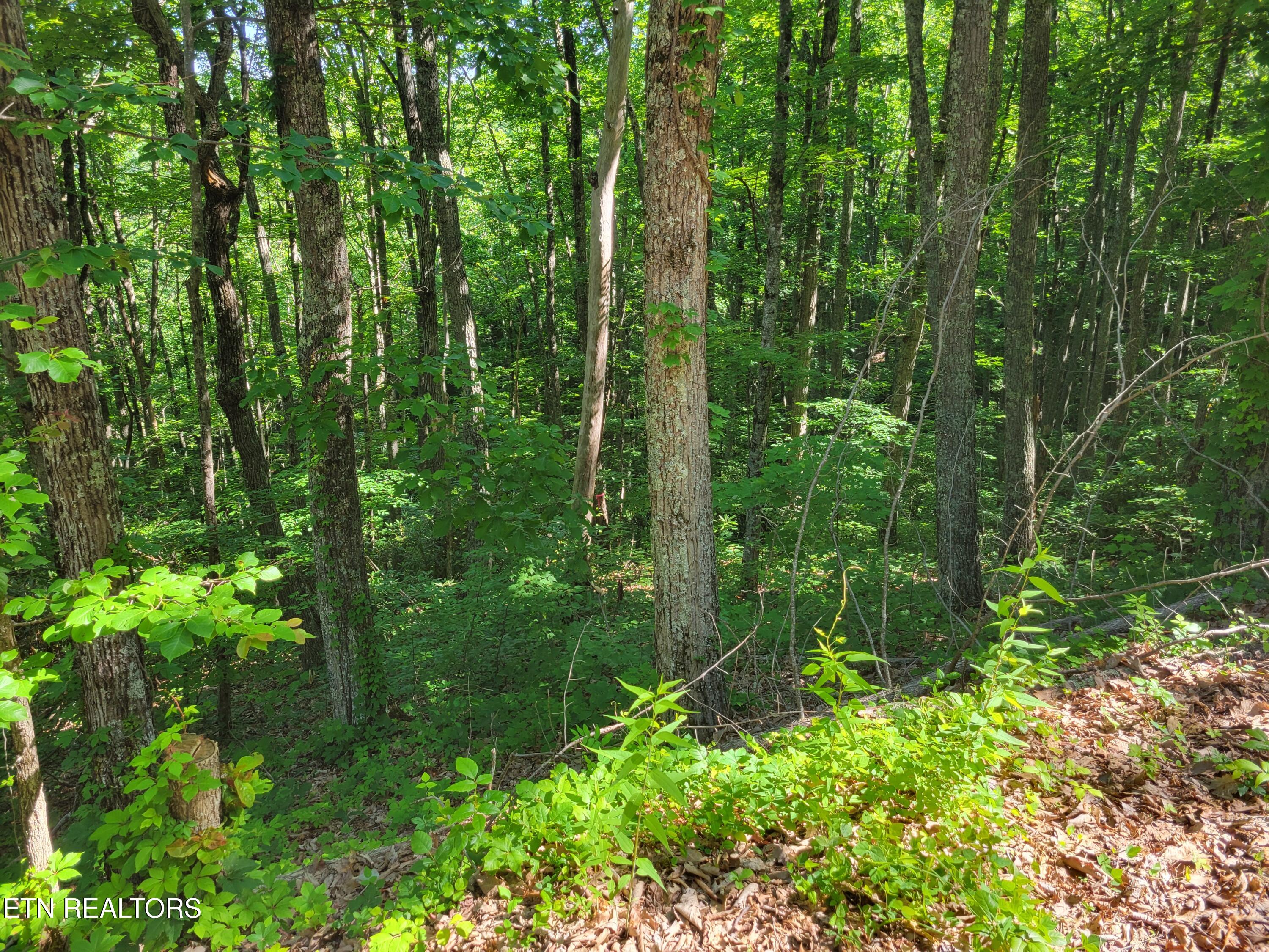 Lot 20 Sunset Drive Sevierville TN 37876