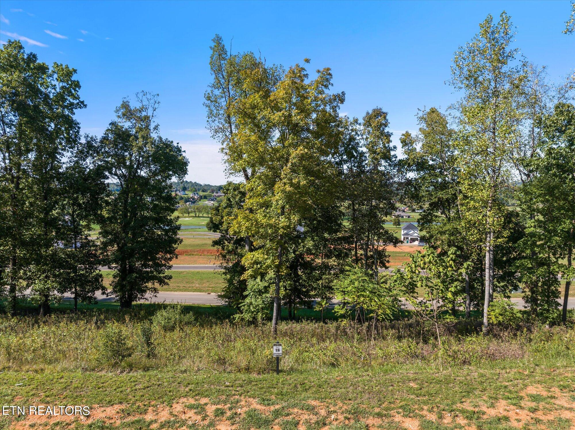 1479 Black Cove Lane Loudon TN 37774