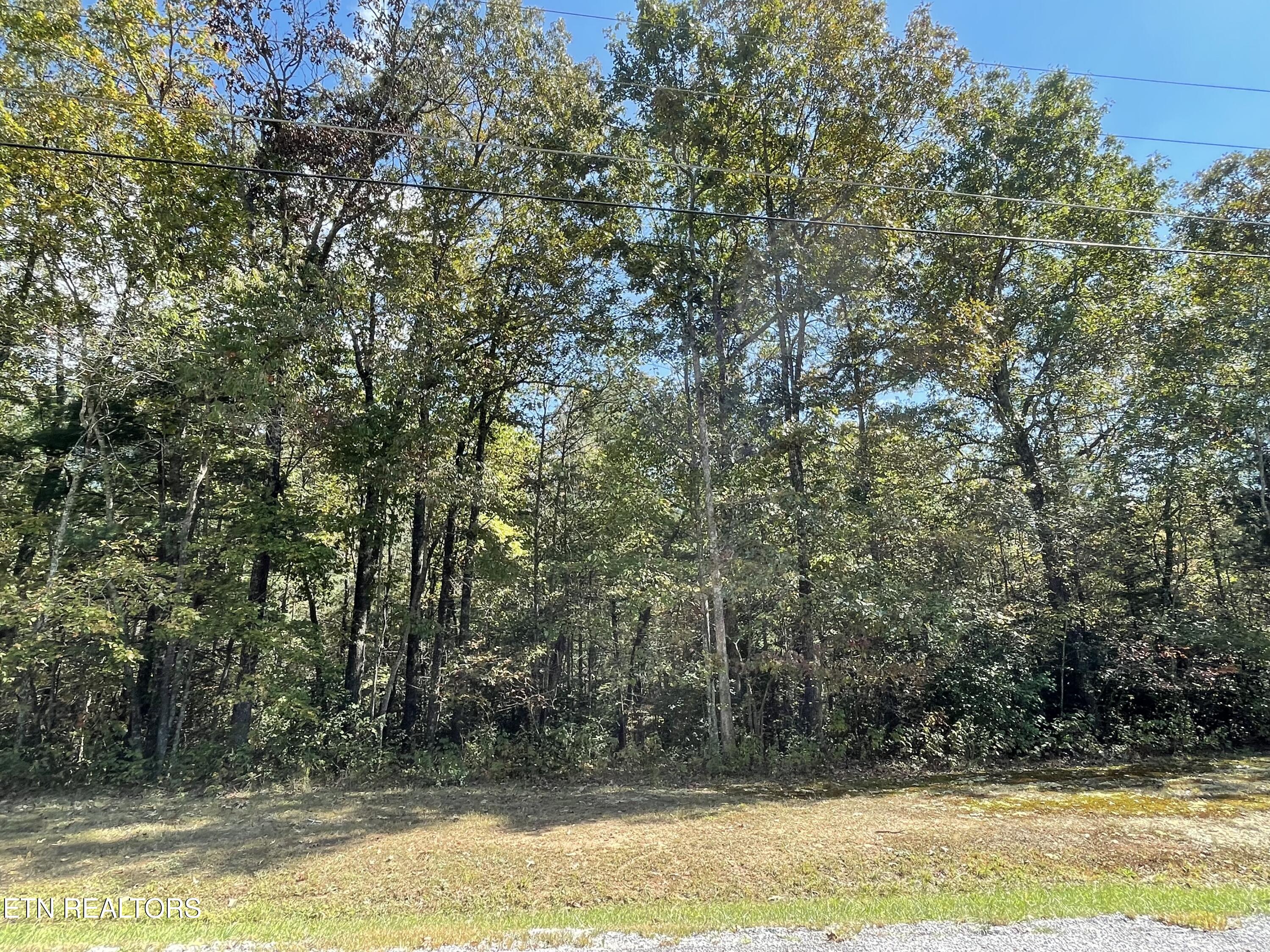 130 Stillington Loop Crossville TN 38558