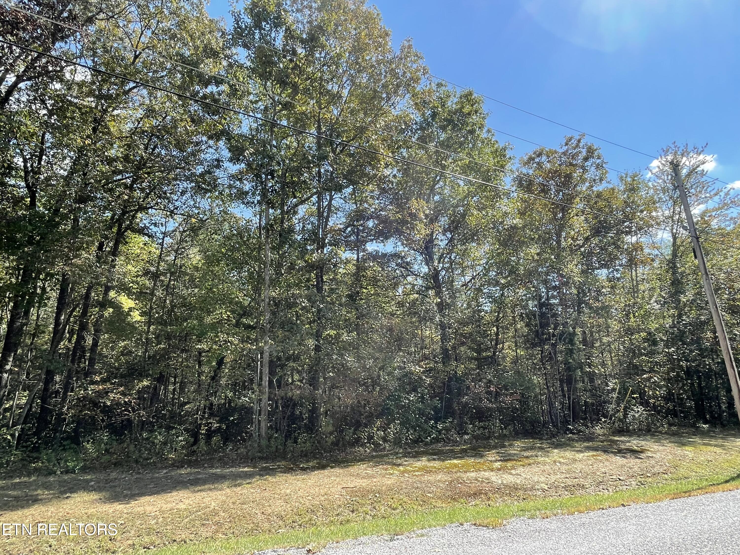 130 Stillington Loop Crossville TN 38558