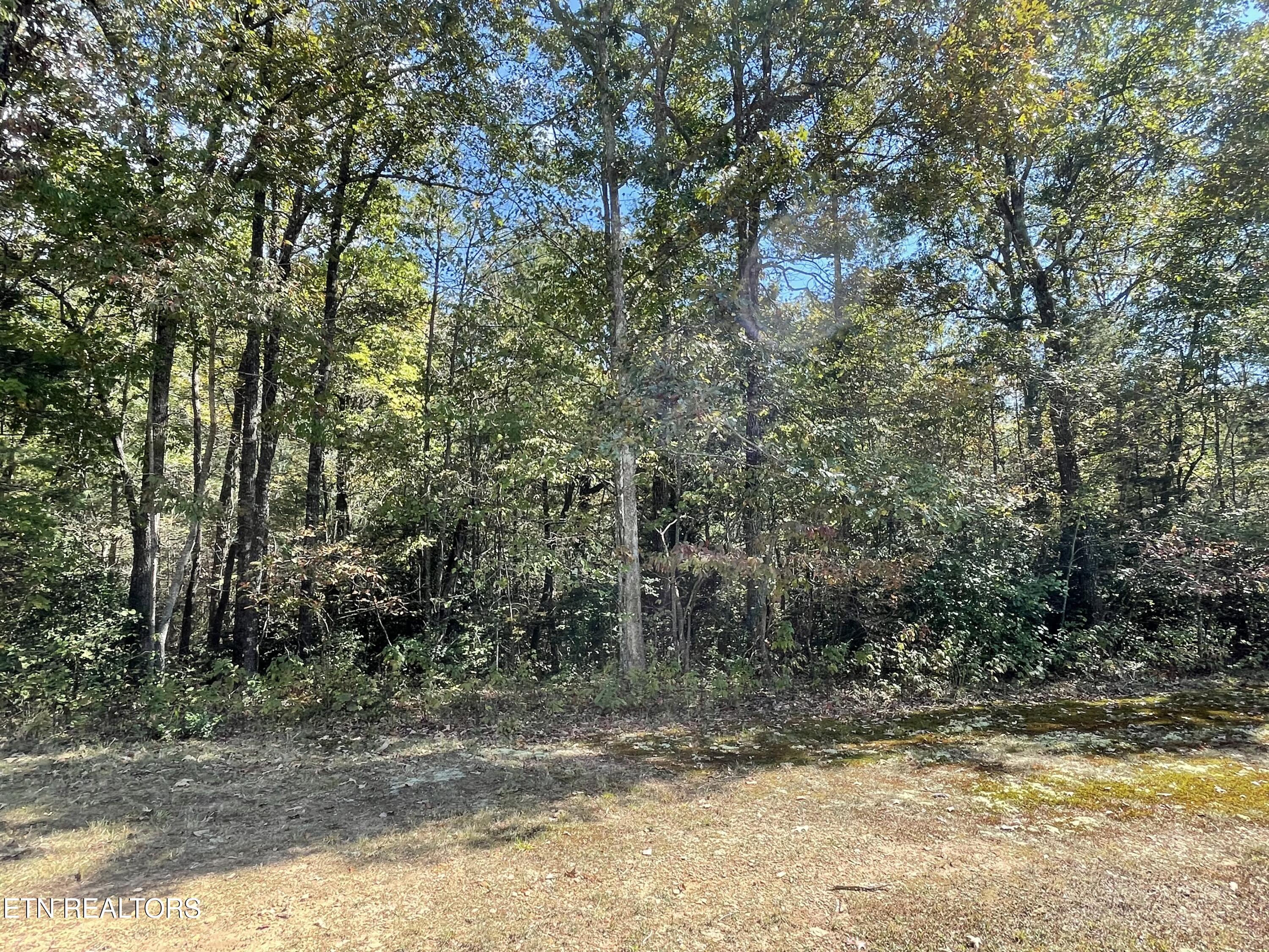 130 Stillington Loop Crossville TN 38558