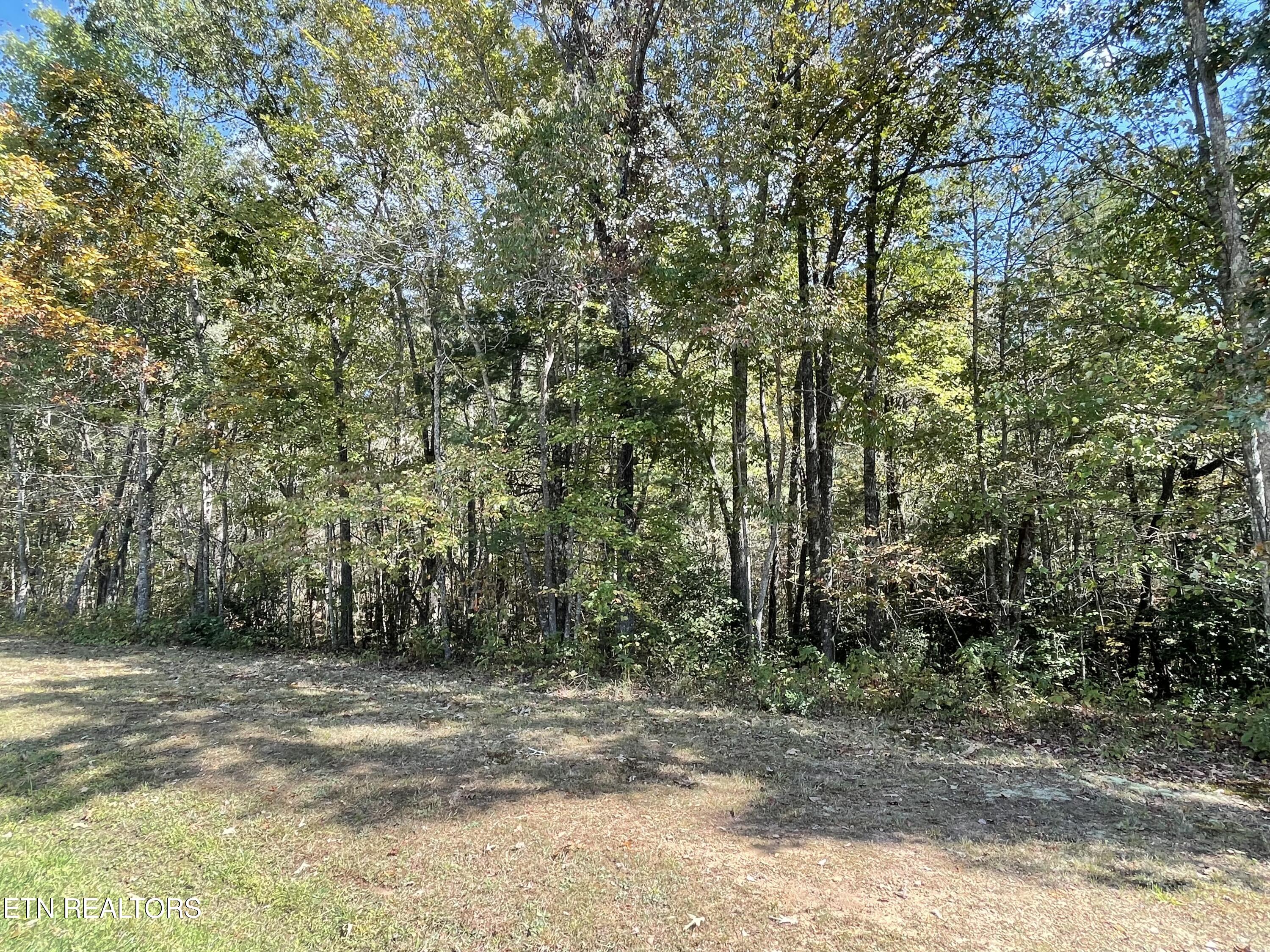 130 Stillington Loop Crossville TN 38558