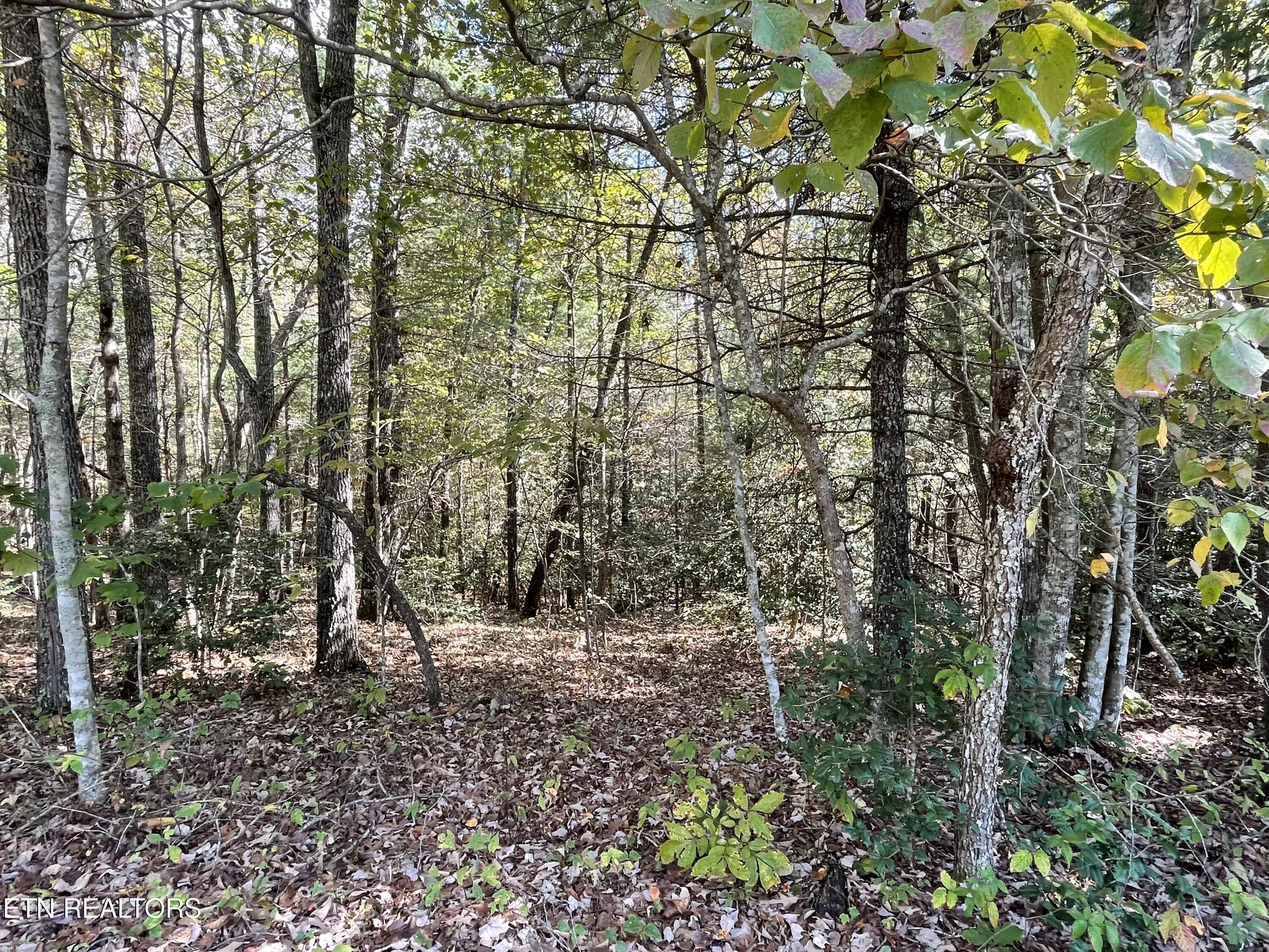 130 Stillington Loop Crossville TN 38558