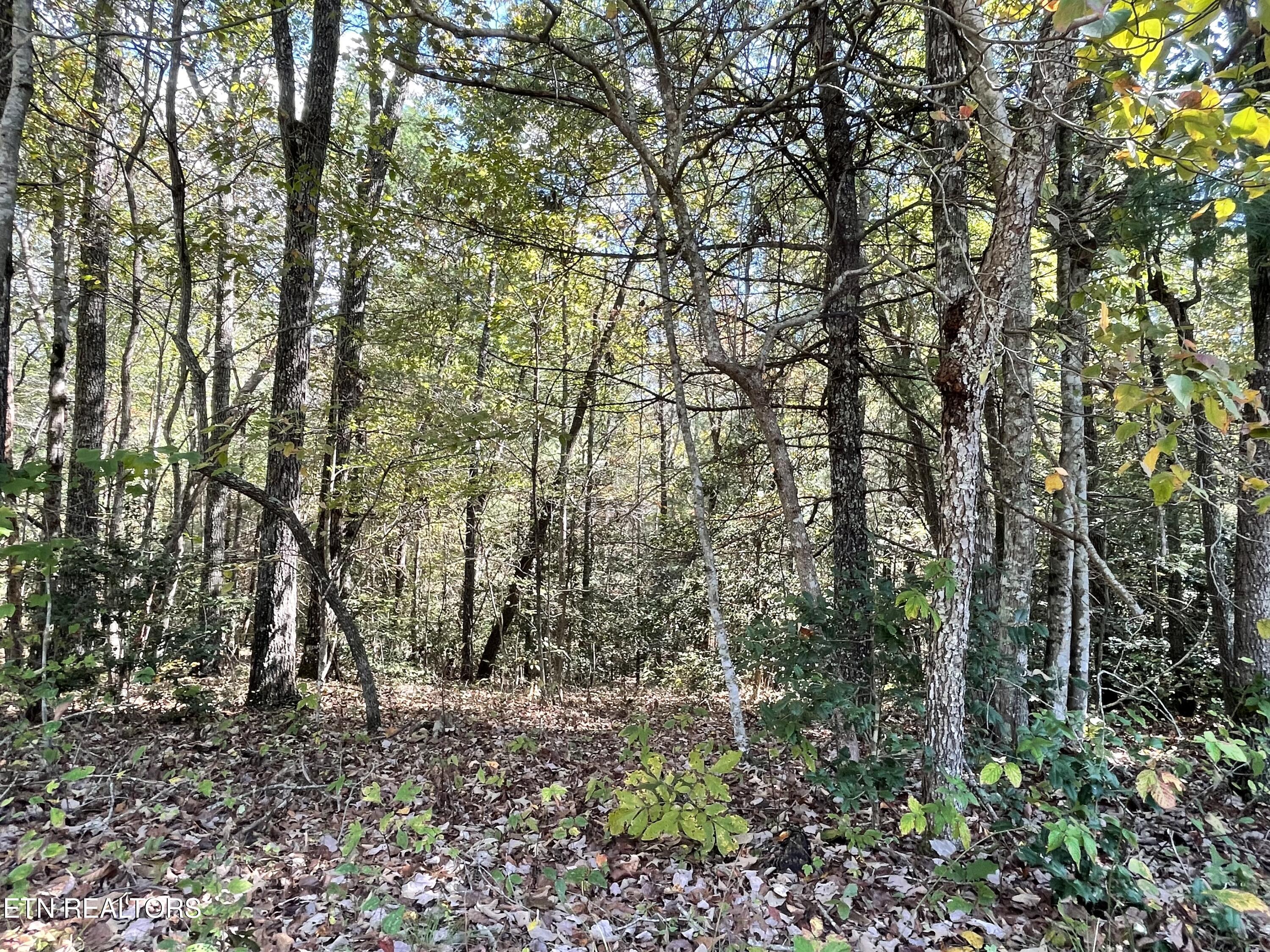 130 Stillington Loop Crossville TN 38558