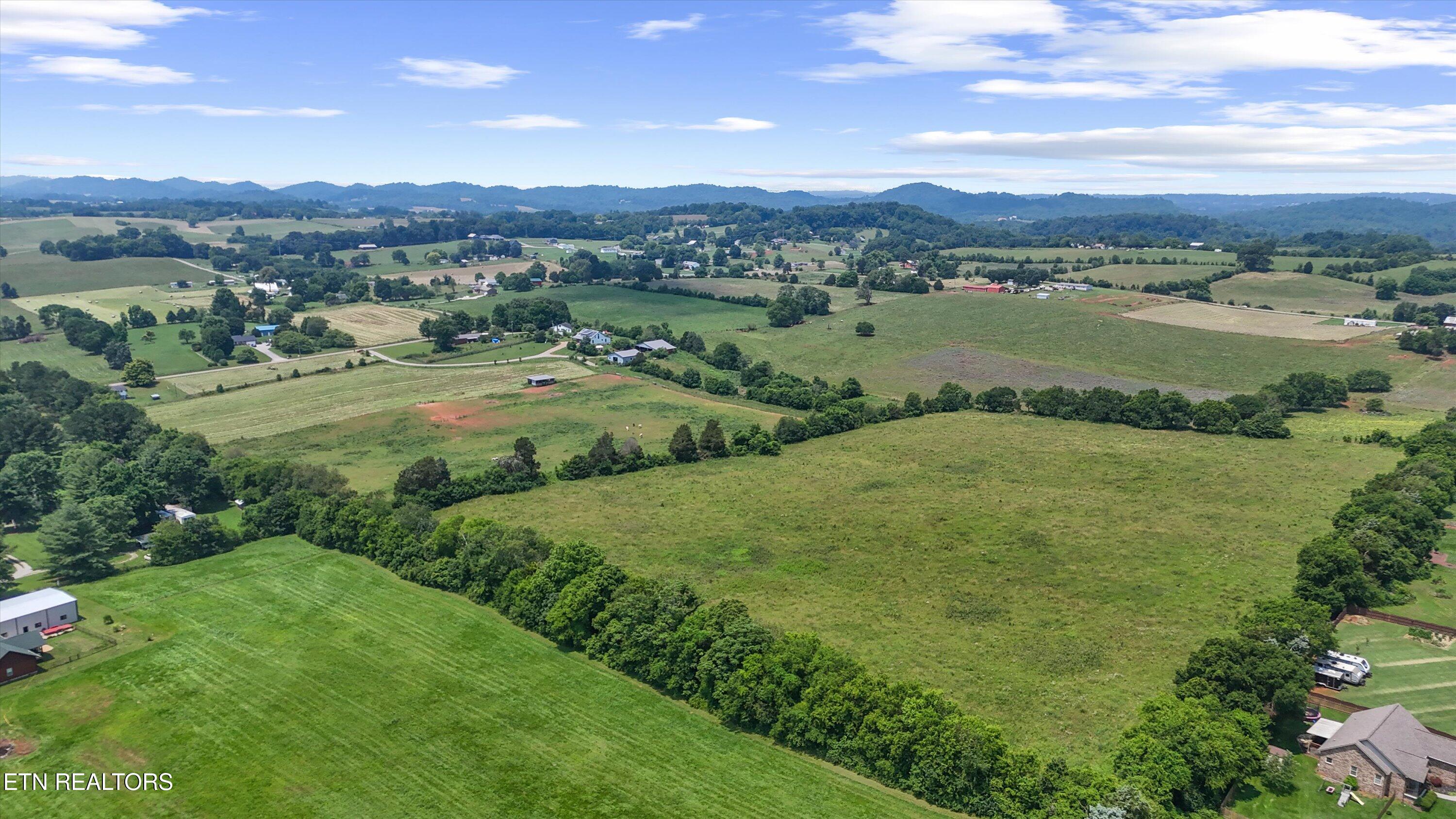 Maple Lane Greenback TN 37742