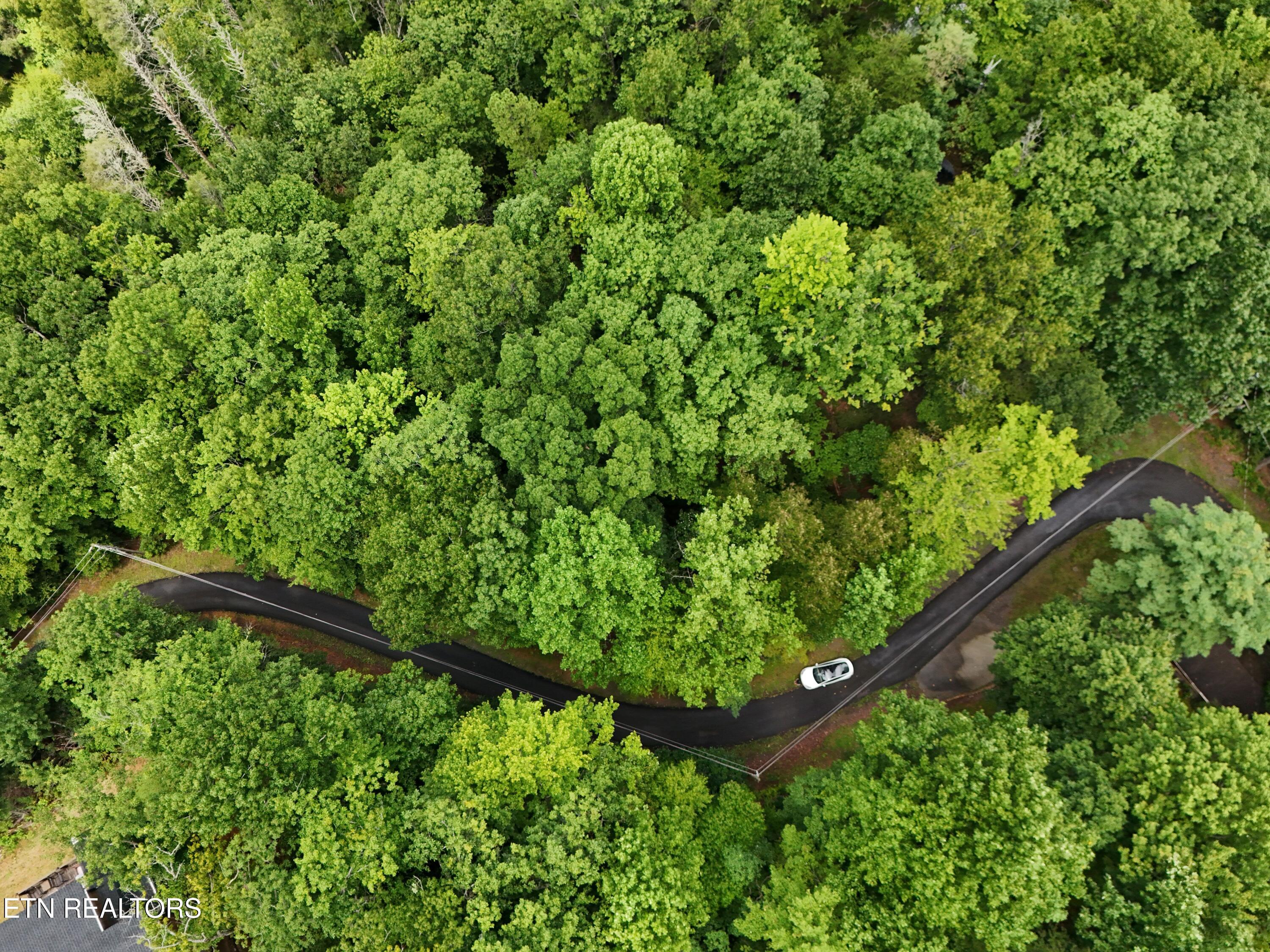 920 Black Gum Gap Road Gatlinburg TN 37738