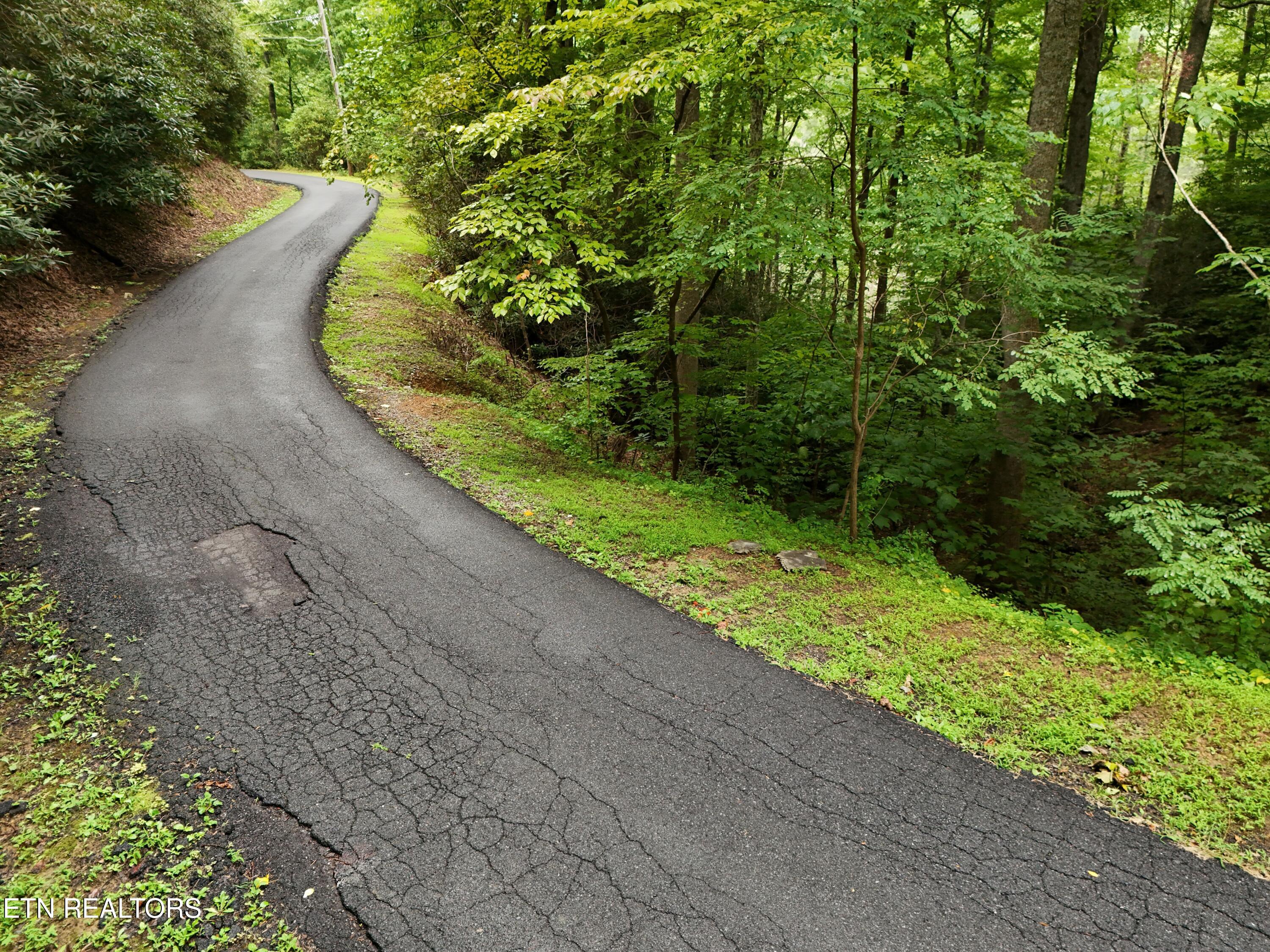 920 Black Gum Gap Road Gatlinburg TN 37738