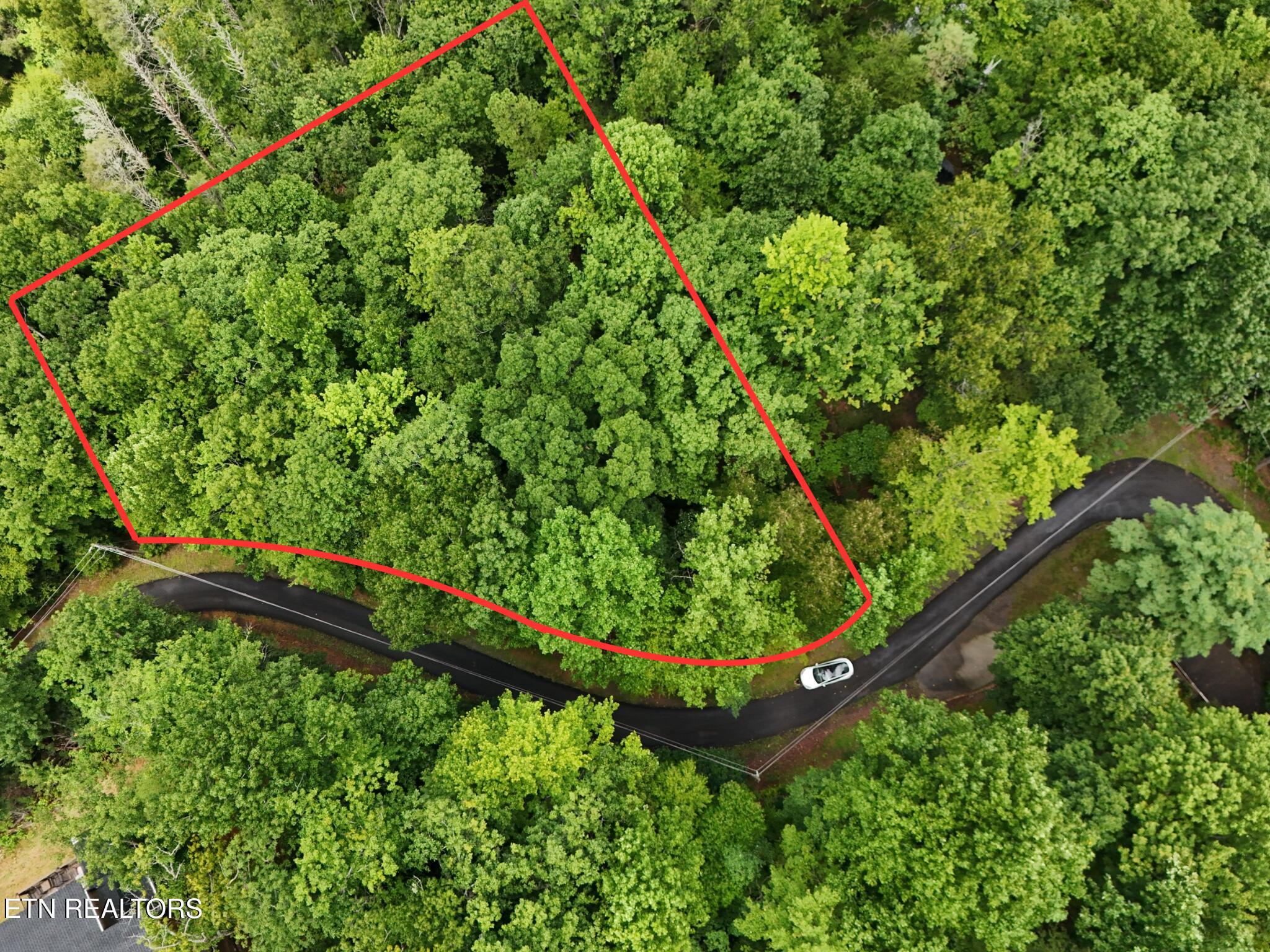 920 Black Gum Gap Road Gatlinburg TN 37738