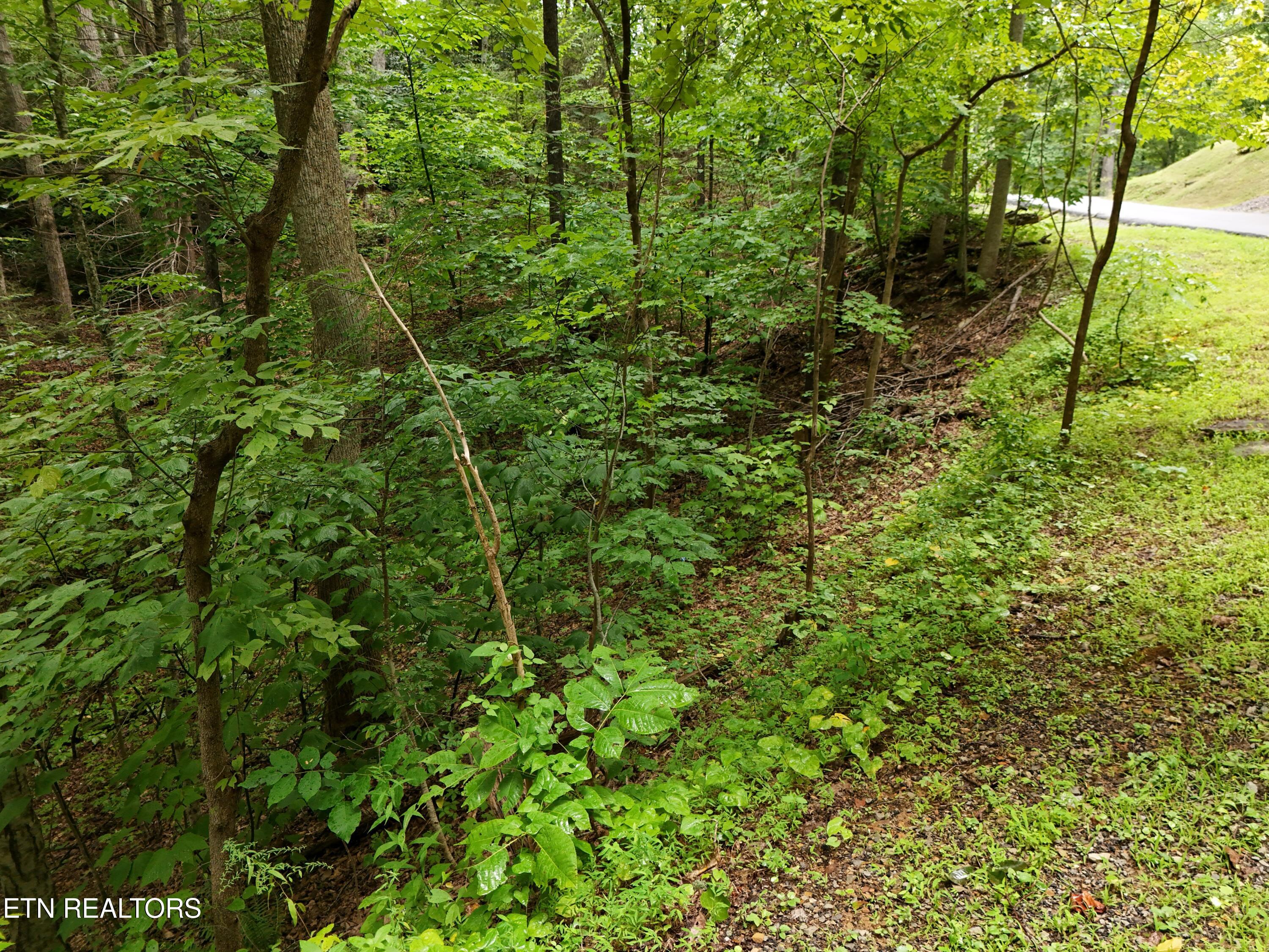 920 Black Gum Gap Road Gatlinburg TN 37738