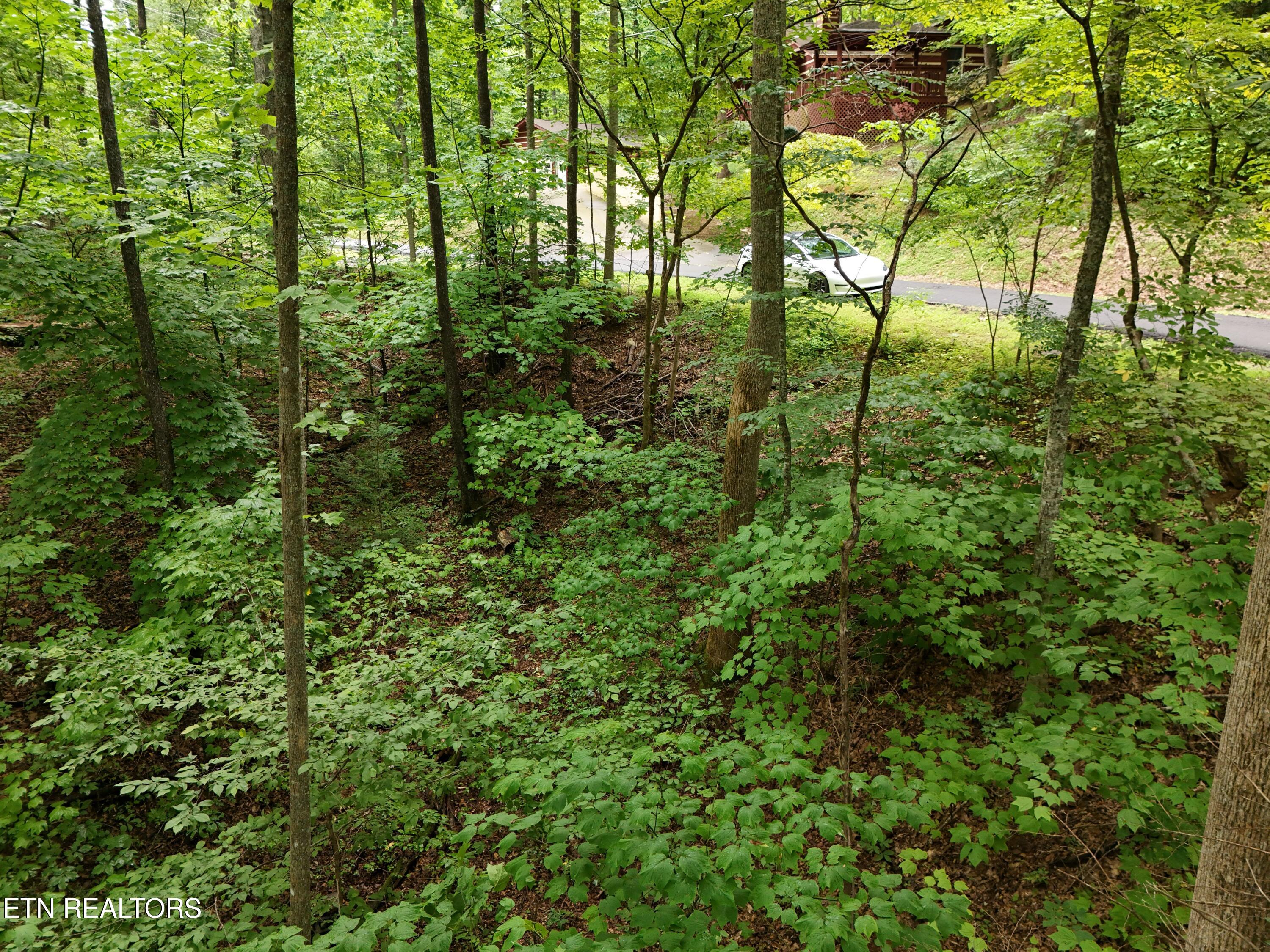 920 Black Gum Gap Road Gatlinburg TN 37738