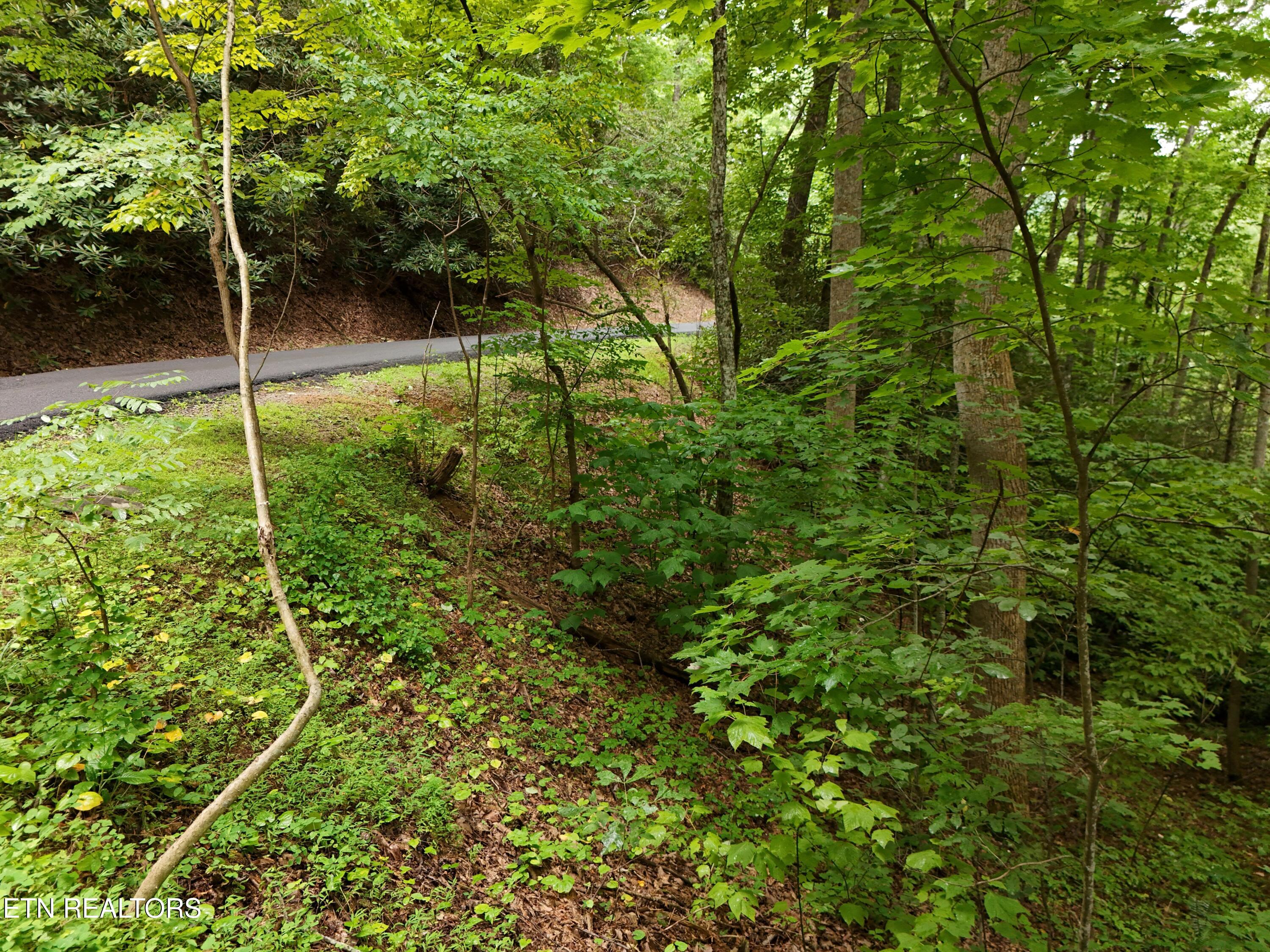 920 Black Gum Gap Road Gatlinburg TN 37738