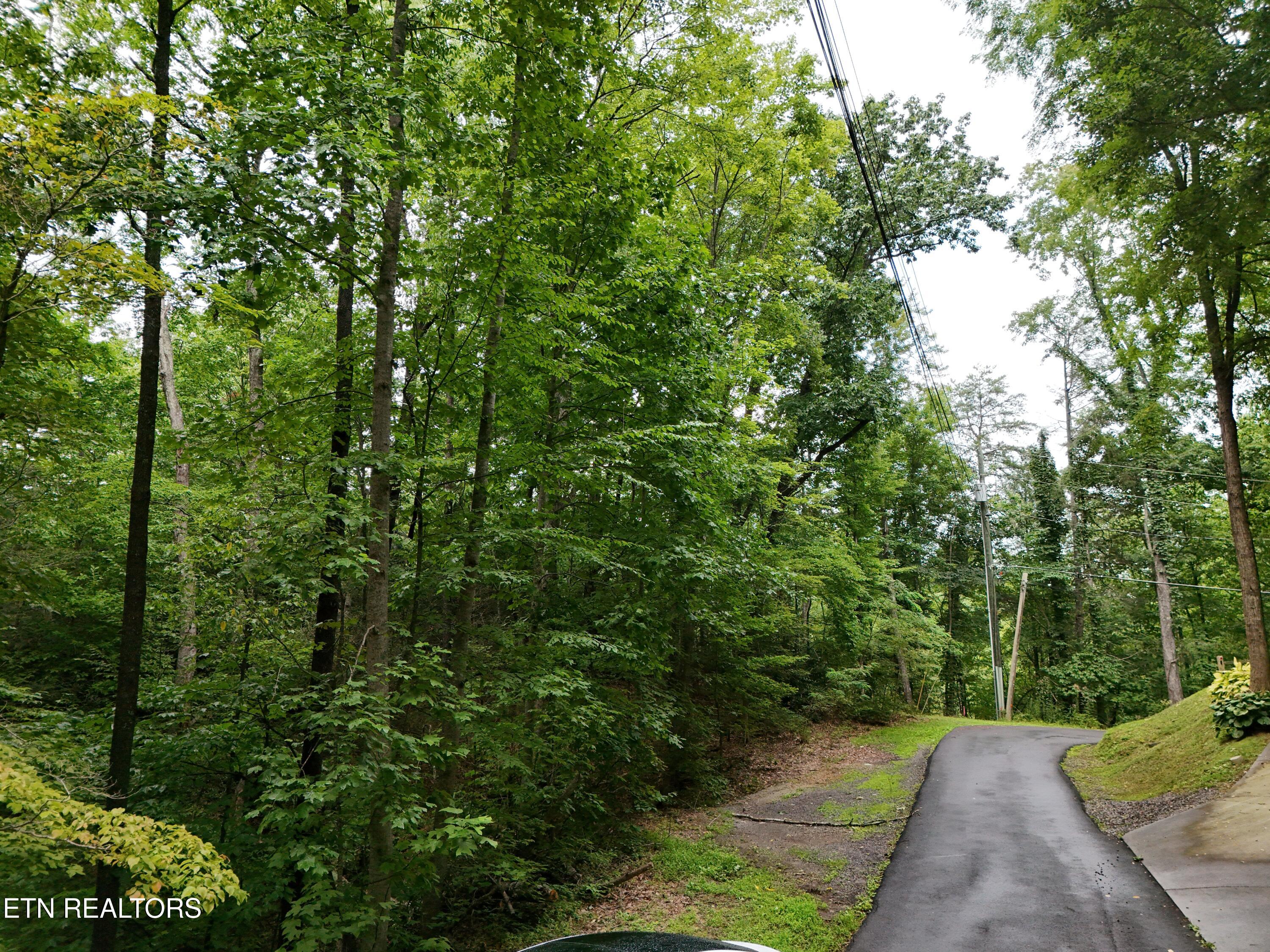 920 Black Gum Gap Road Gatlinburg TN 37738