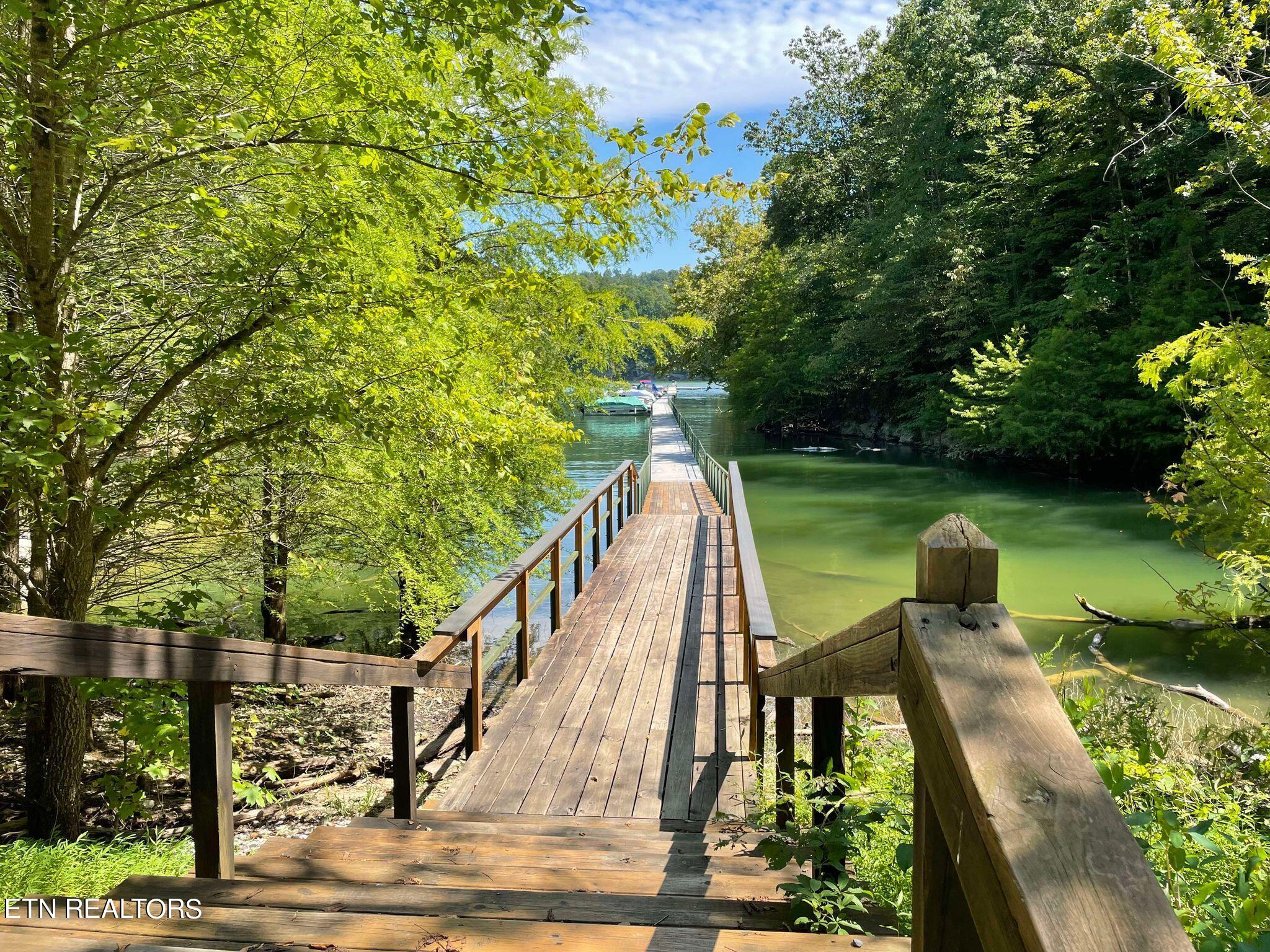 Lot 199 Clinch View Road New Tazewell TN 37825