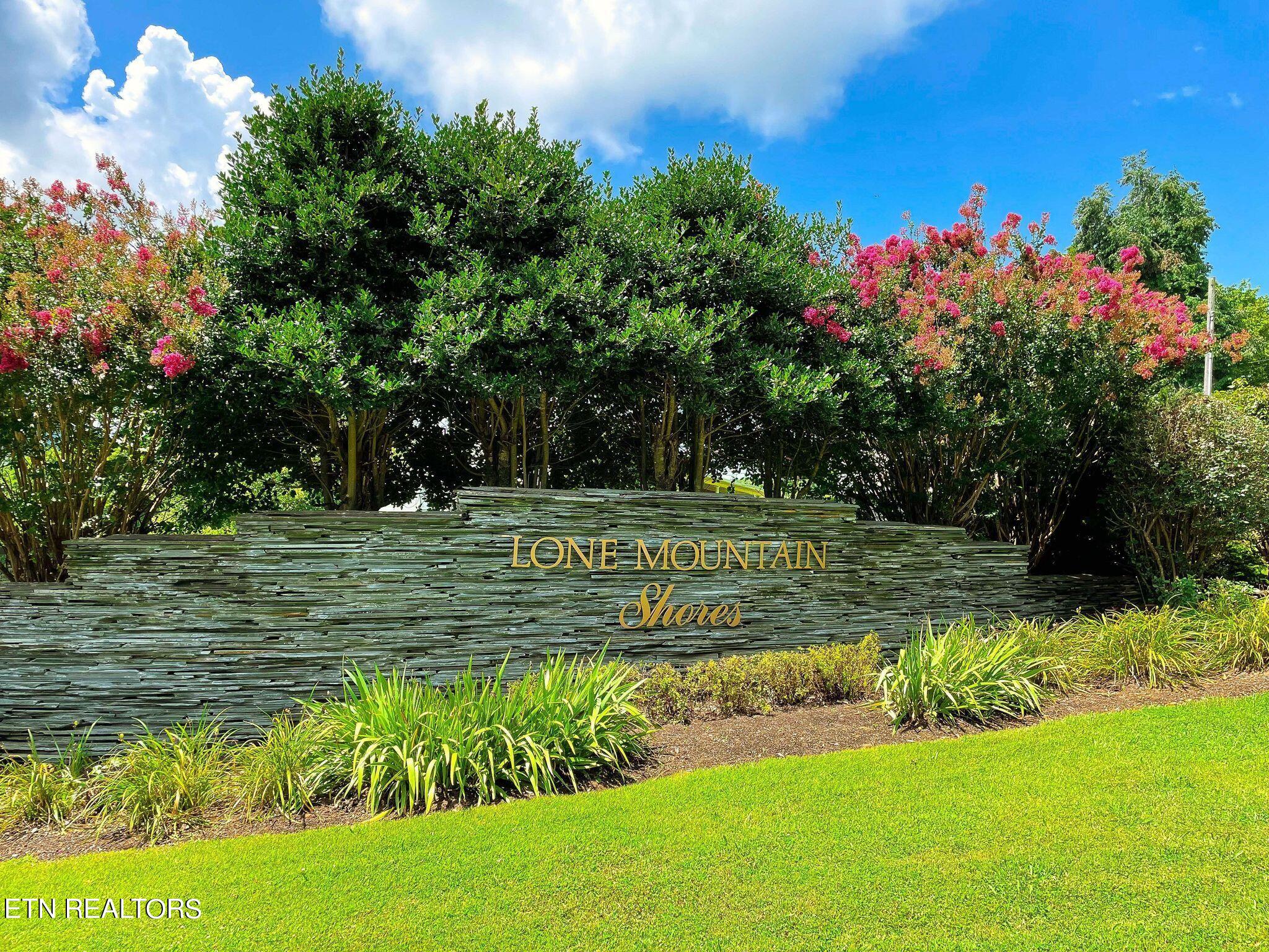 Lot 199 Clinch View Road New Tazewell TN 37825