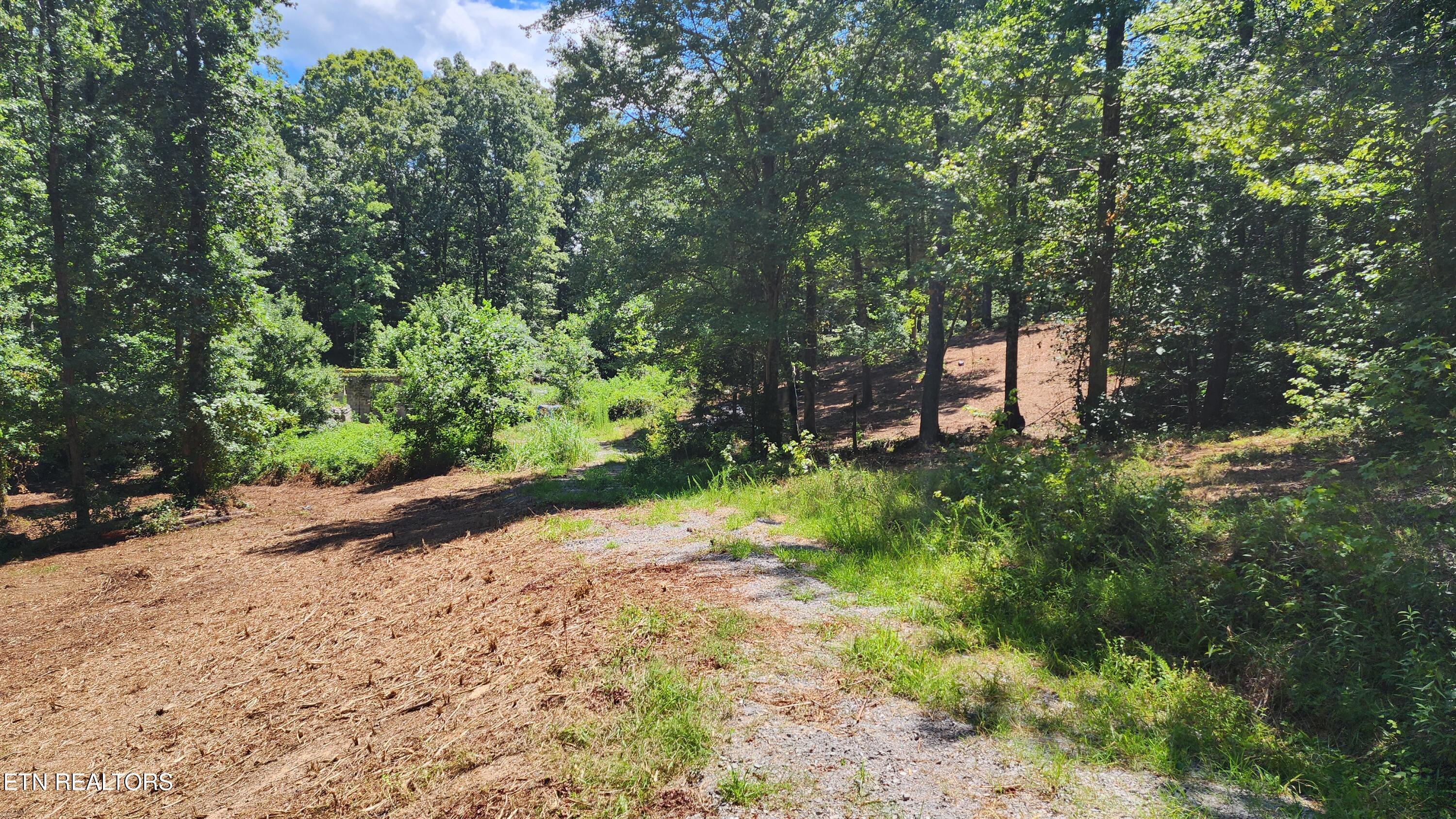 375 Goins Hill Road Ten Mile TN 37880