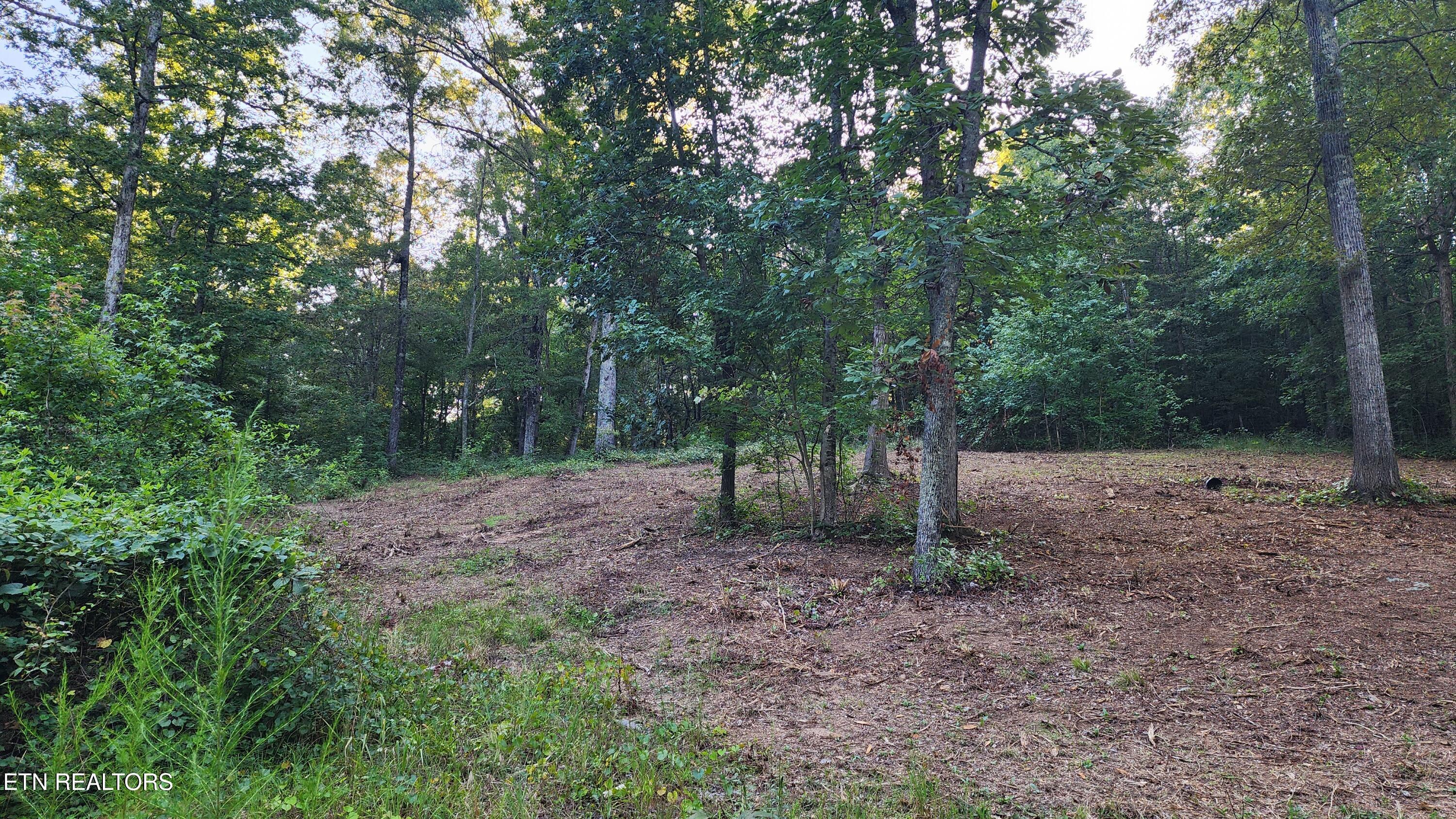 375 Goins Hill Road Ten Mile TN 37880