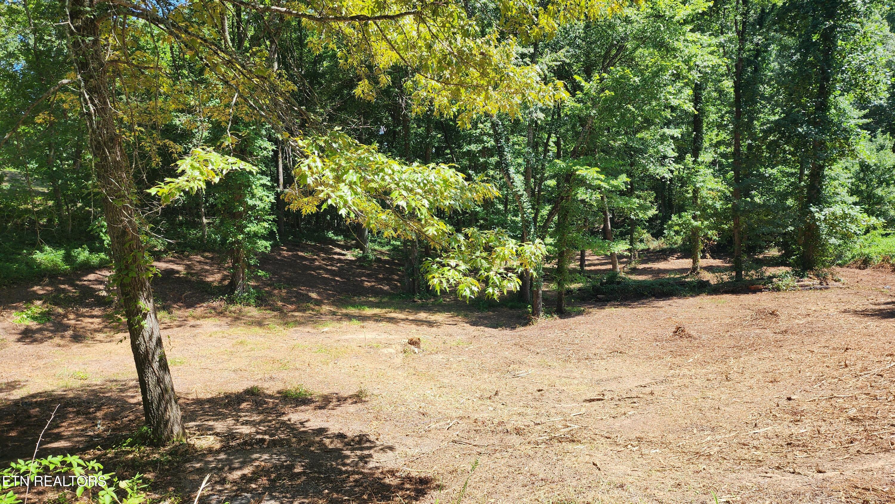375 Goins Hill Road Ten Mile TN 37880