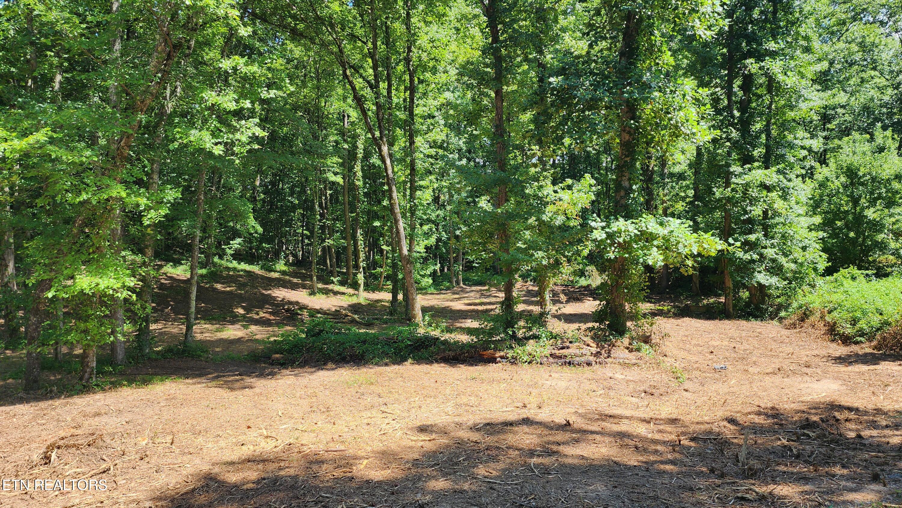 375 Goins Hill Road Ten Mile TN 37880