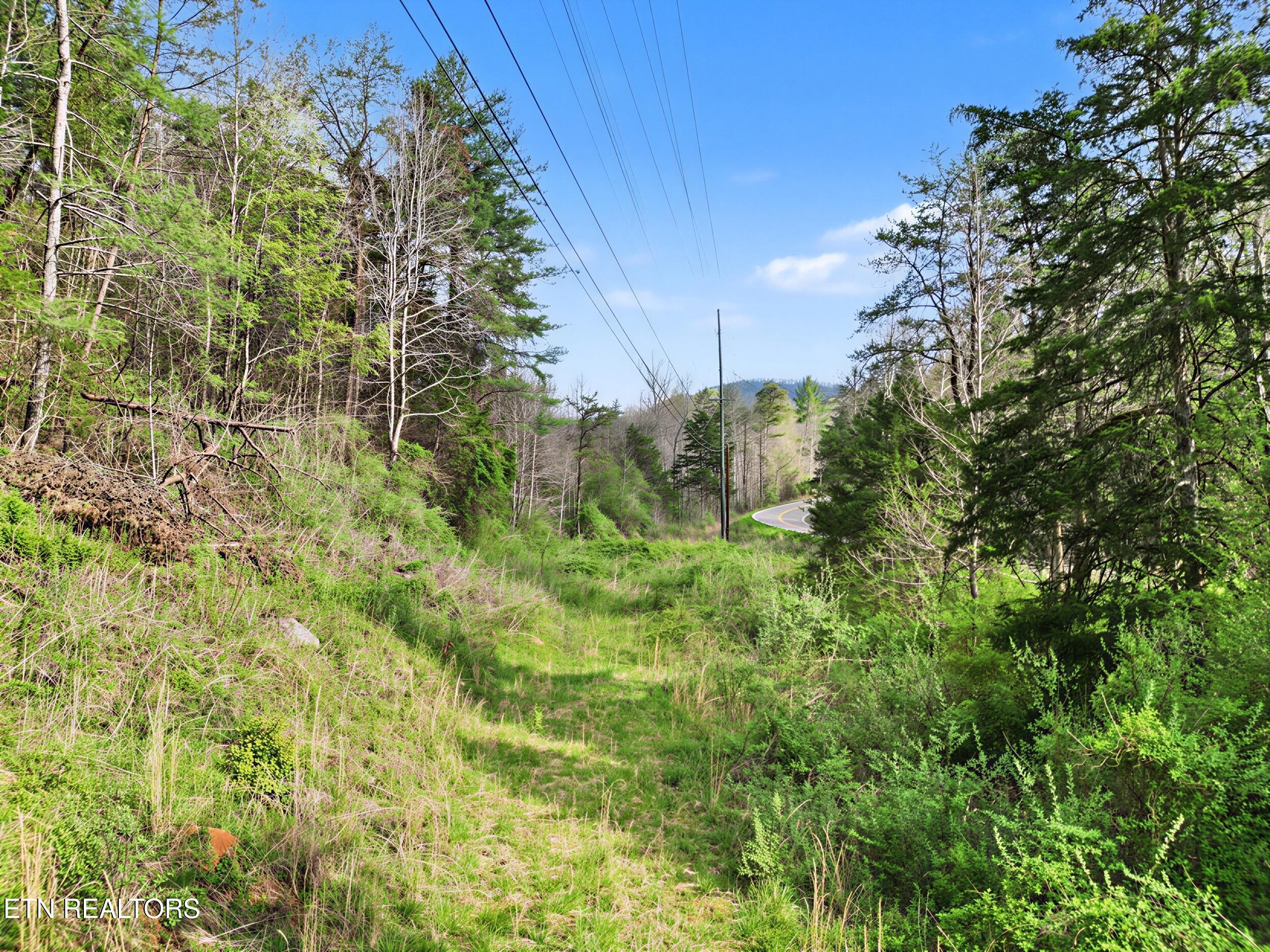 Wears Valley Road Townsend TN 37882