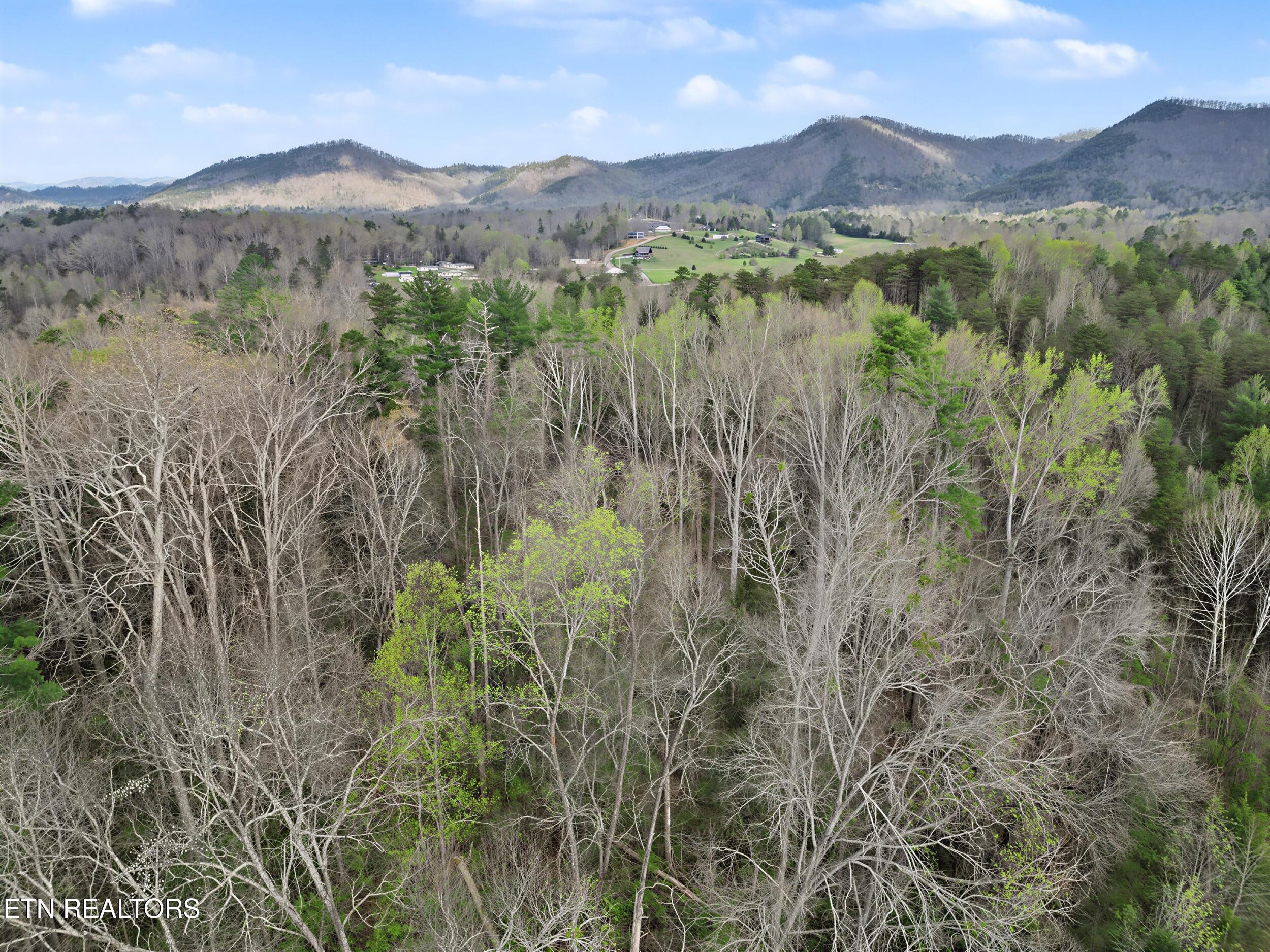 Wears Valley Road Townsend TN 37882