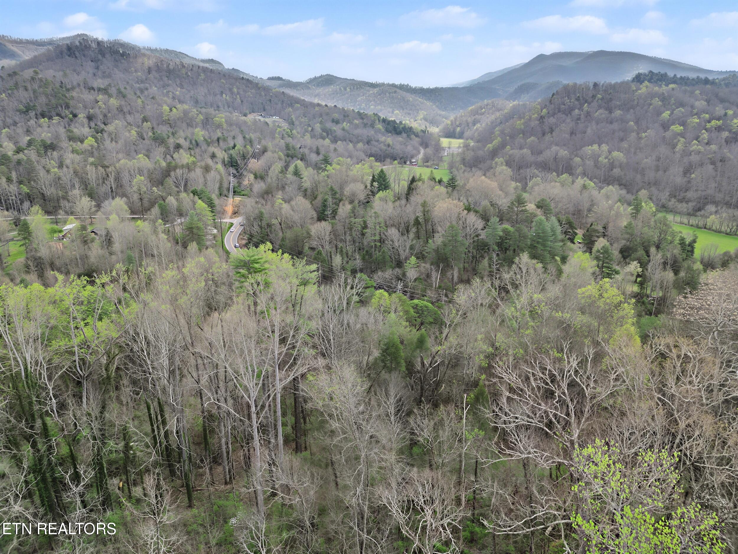 Wears Valley Road Townsend TN 37882