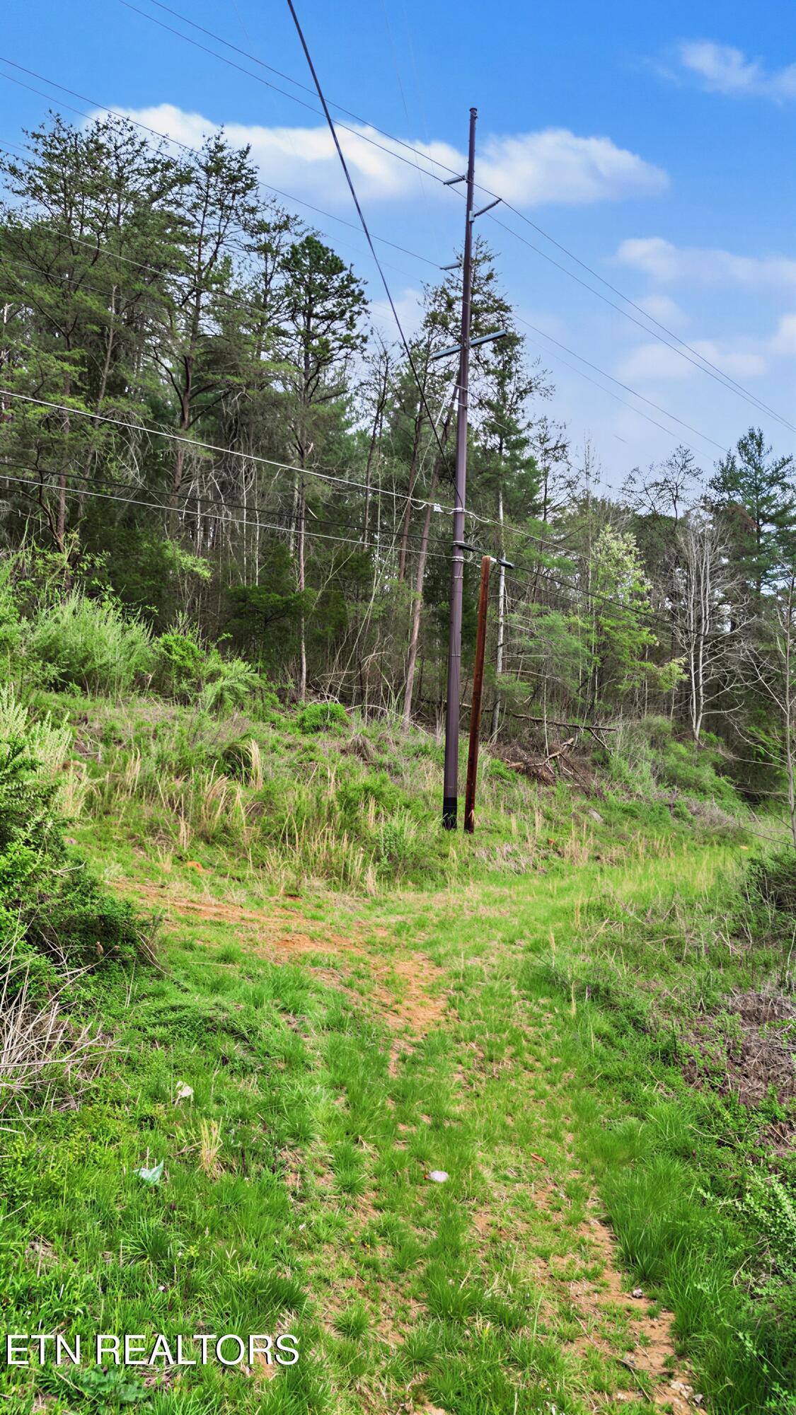 Wears Valley Road Townsend TN 37882