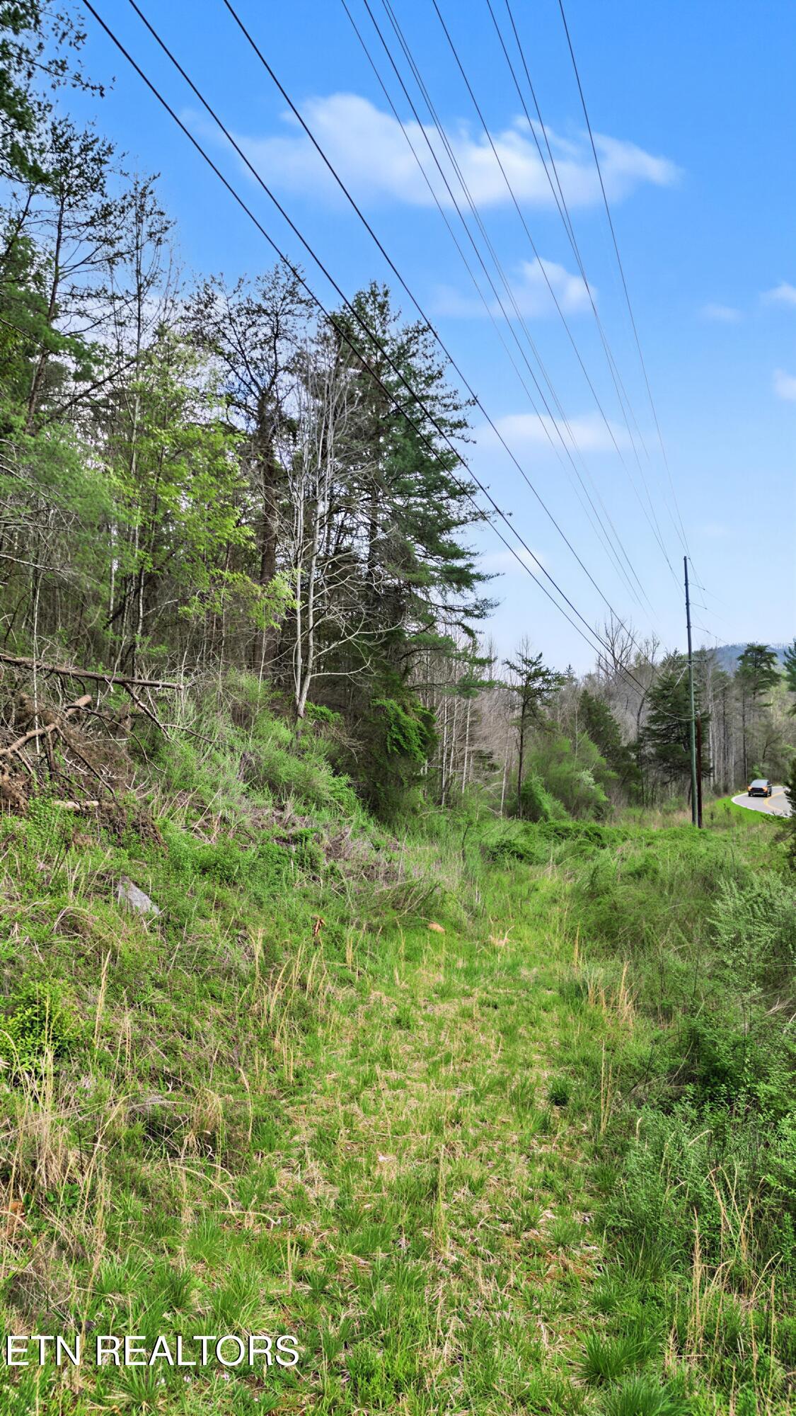 Wears Valley Road Townsend TN 37882