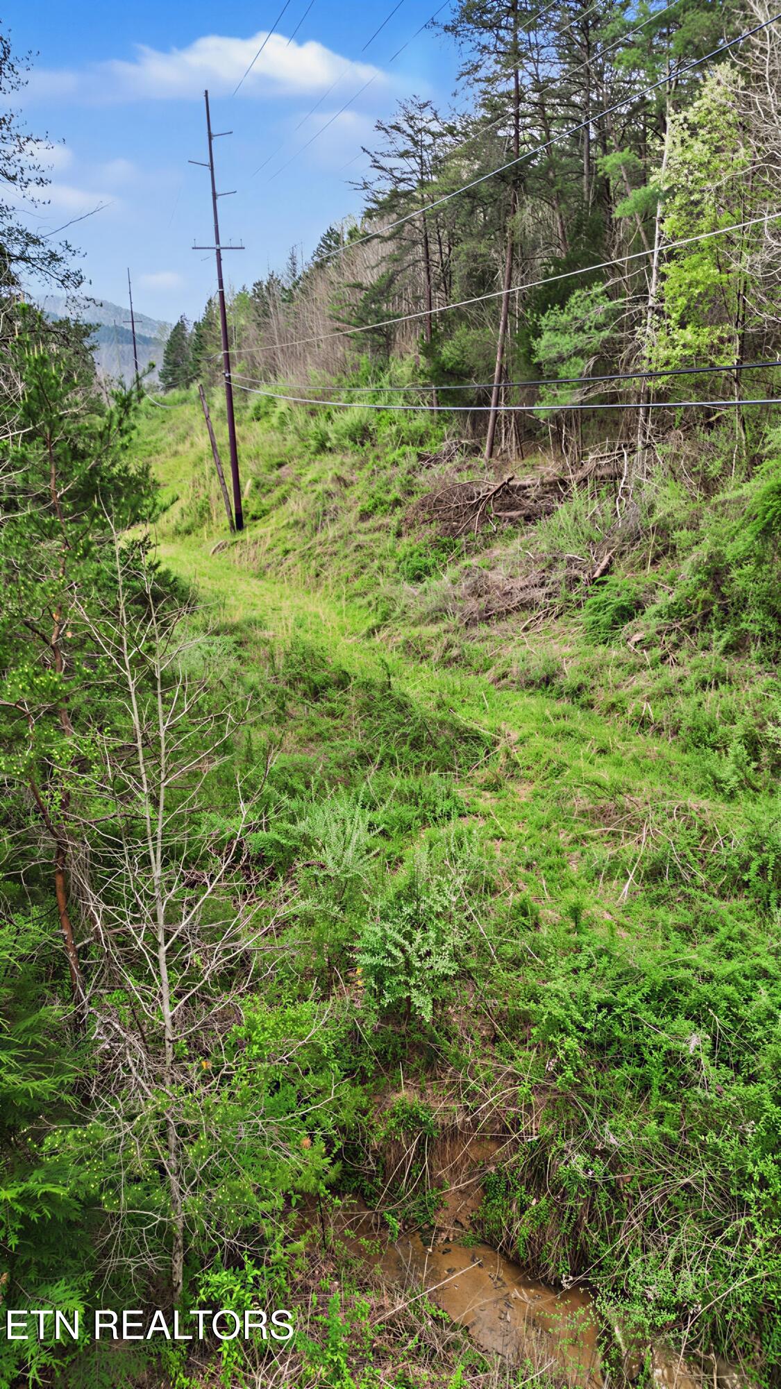 Wears Valley Road Townsend TN 37882