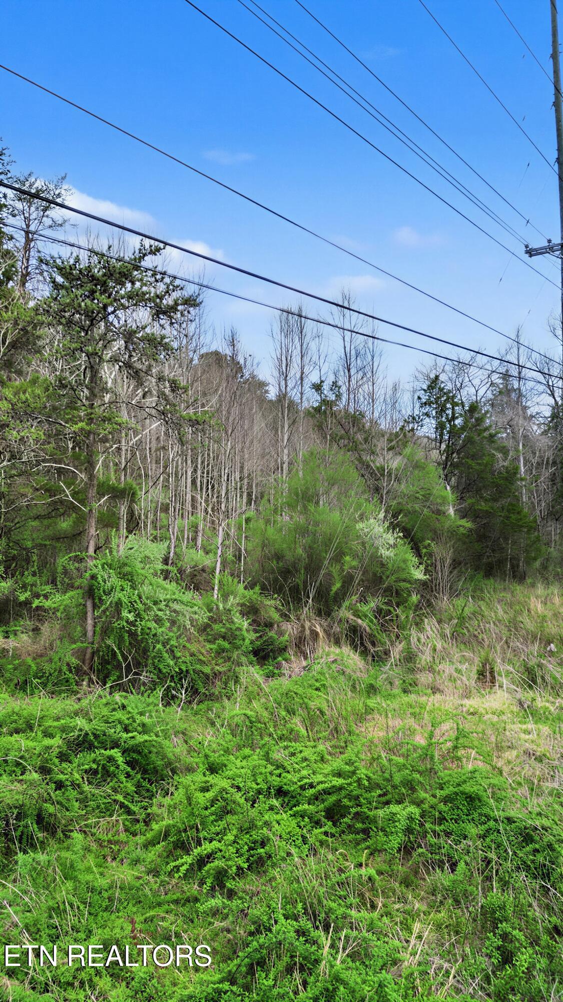 Wears Valley Road Townsend TN 37882