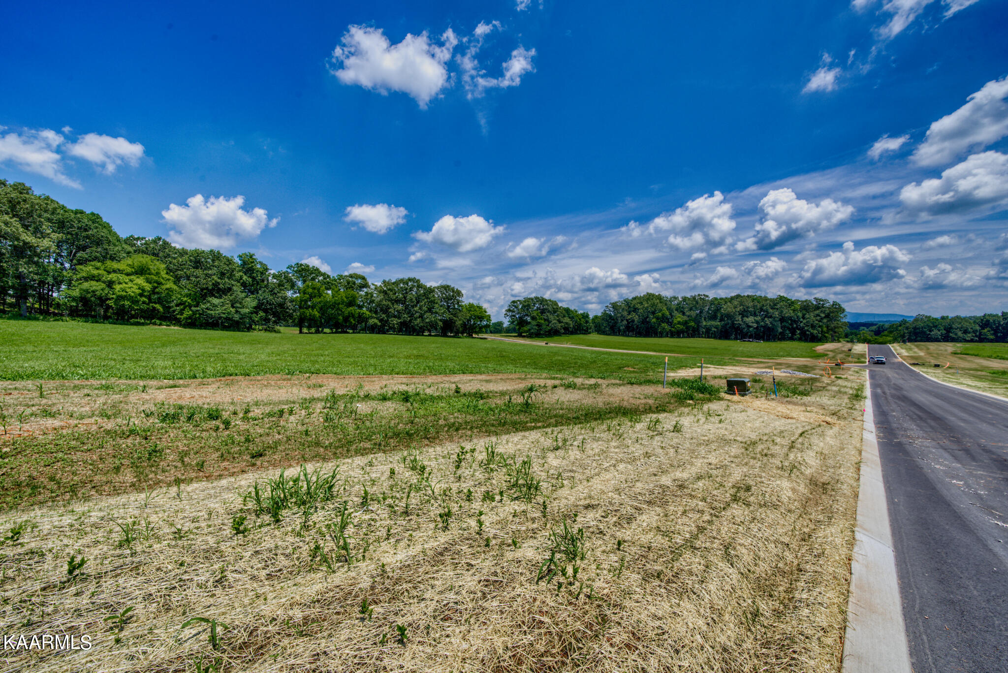 LOT74 807 Sophie Drive Greenback TN 37742