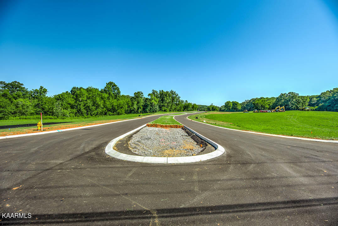 LOT74 807 Sophie Drive Greenback TN 37742