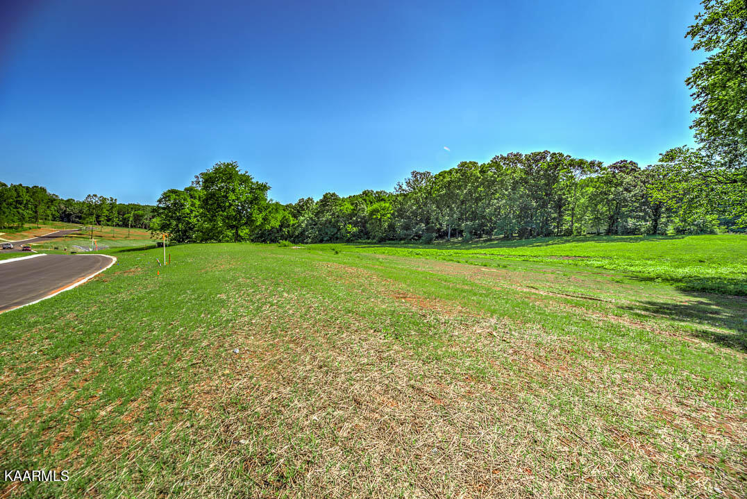 LOT74 807 Sophie Drive Greenback TN 37742