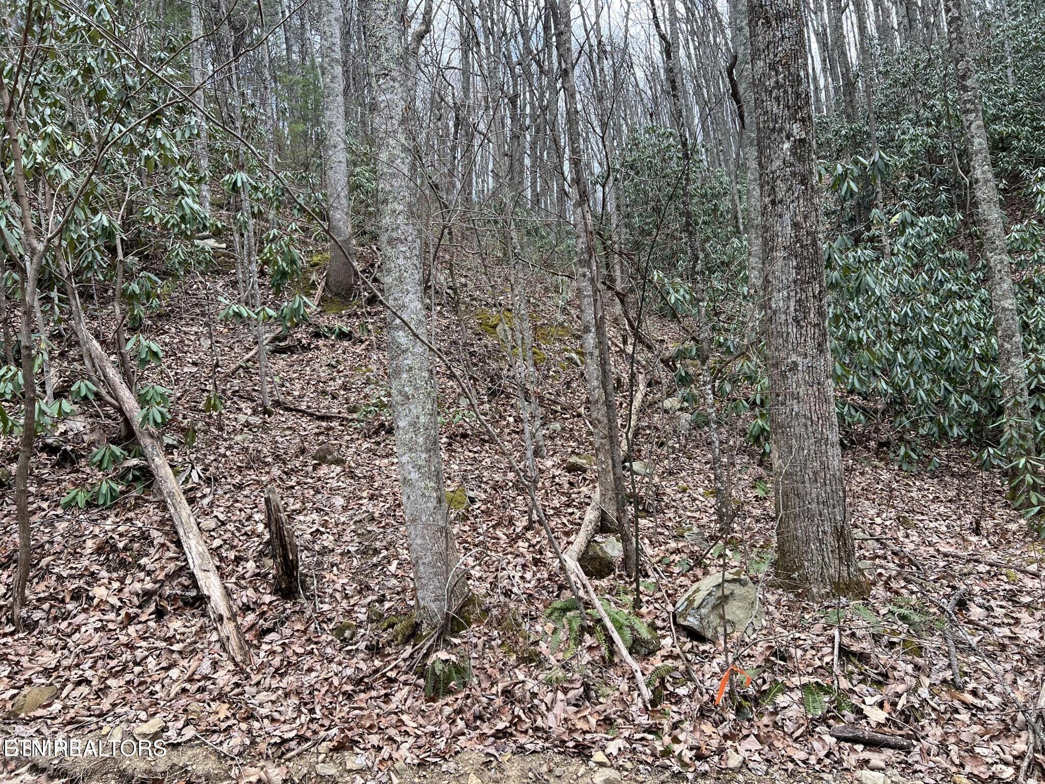 Lot 120 John Sevier Drive Sevierville TN 37876
