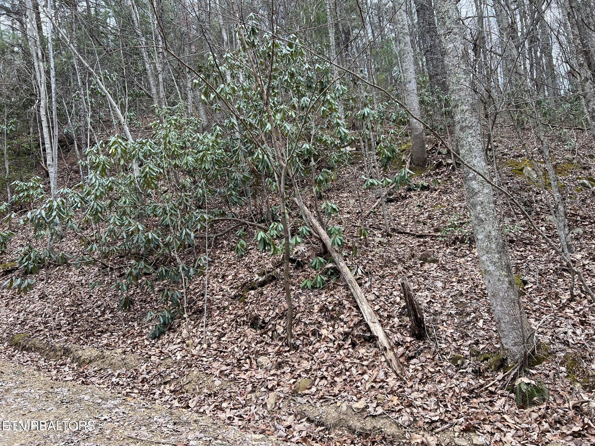 Lot 120 John Sevier Drive Sevierville TN 37876