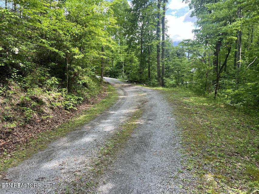 Lot 3 Old Cartertown Road Gatlinburg TN 37738