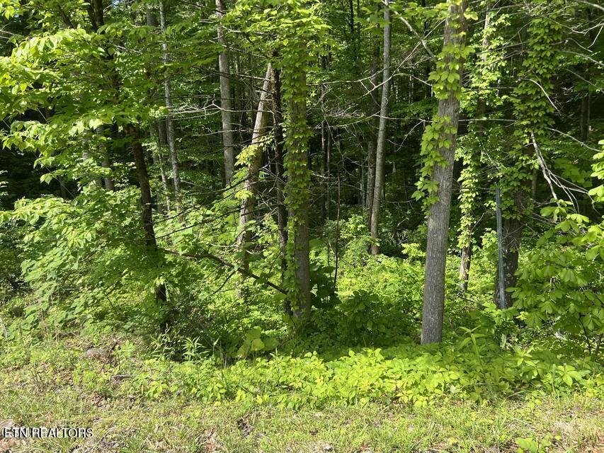 Lot 3 Old Cartertown Road Gatlinburg TN 37738