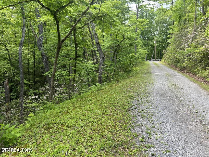 Lot 3 Old Cartertown Road Gatlinburg TN 37738