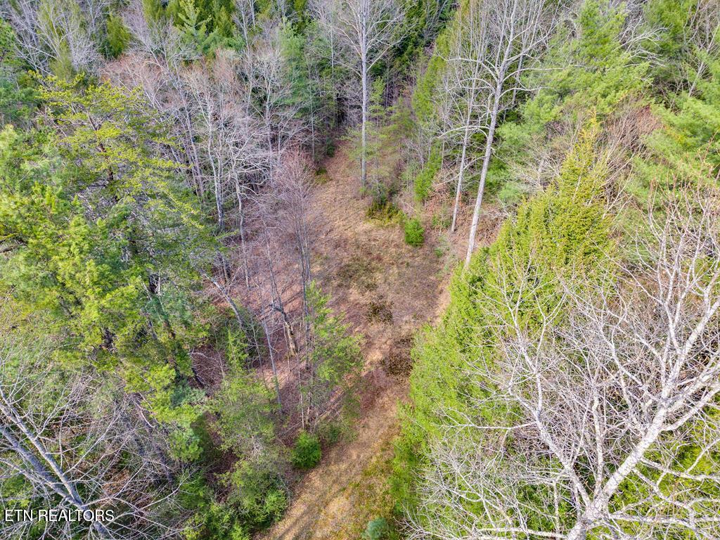0 Baxter Norris Road Crab Orchard TN 37723
