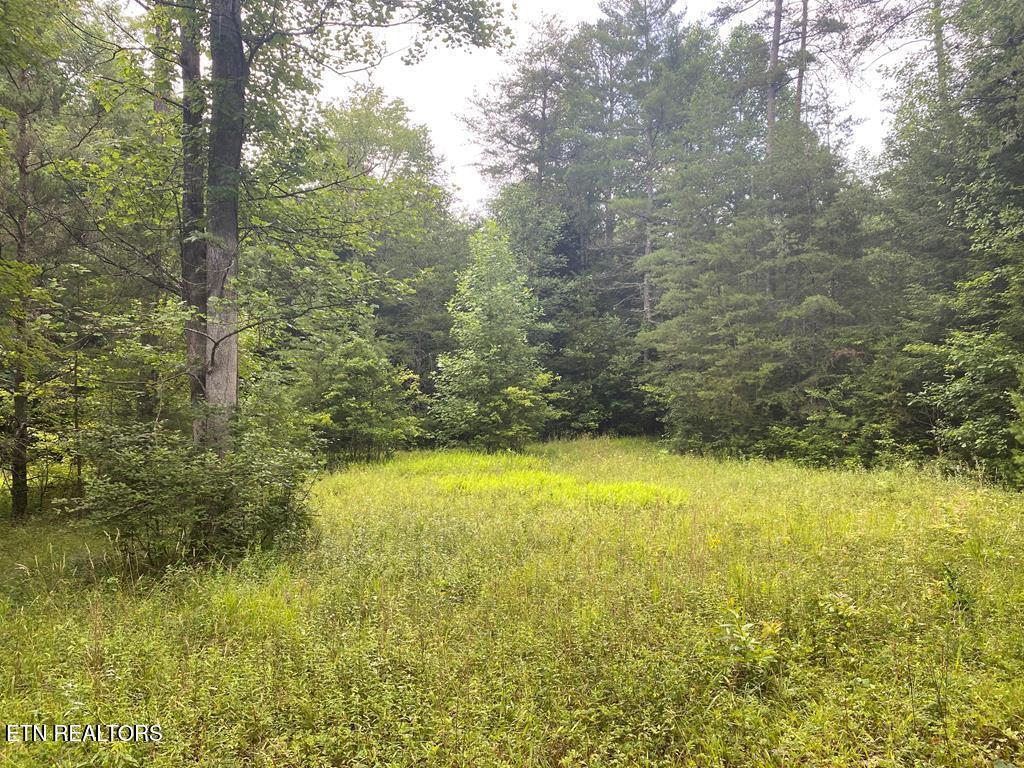 0 Baxter Norris Road Crab Orchard TN 37723