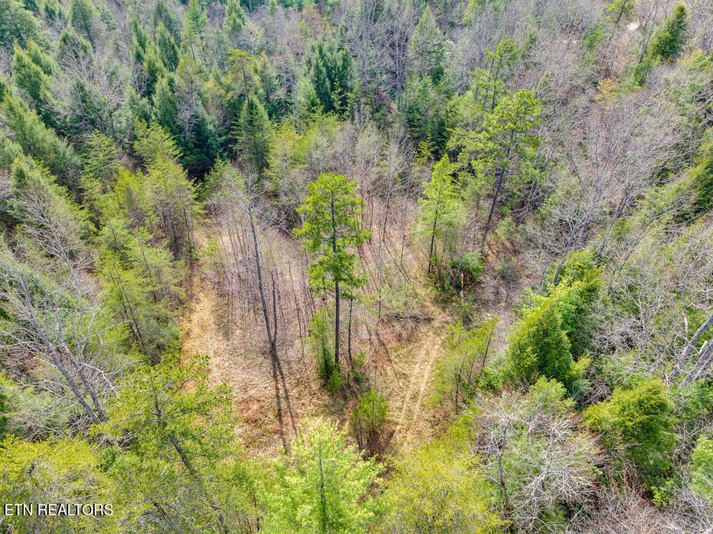 0 Baxter Norris Road Crab Orchard TN 37723