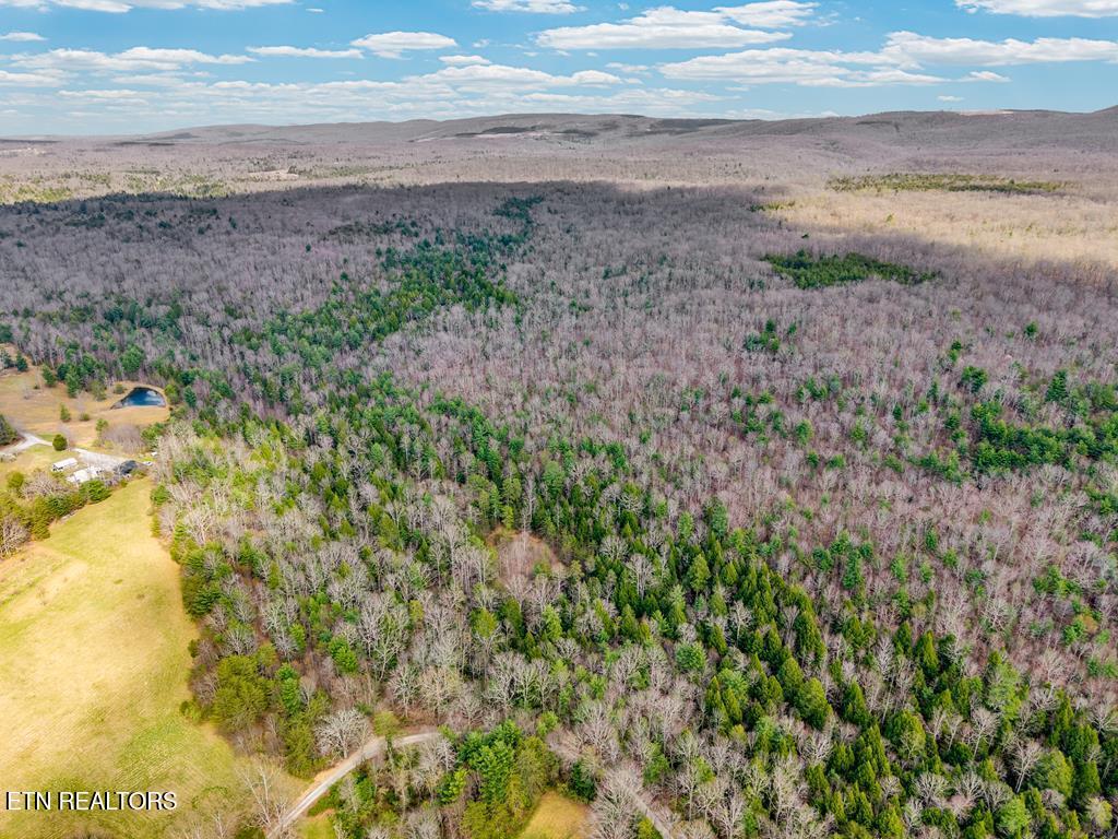 0 Baxter Norris Road Crab Orchard TN 37723