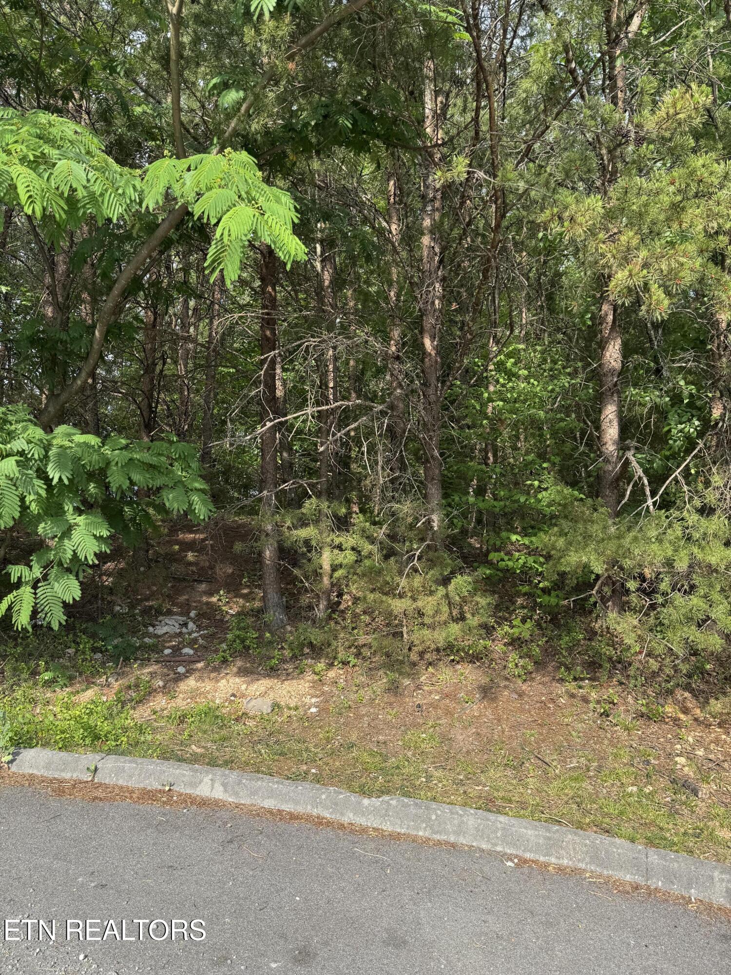 Seth Road Pigeon Forge TN 37863