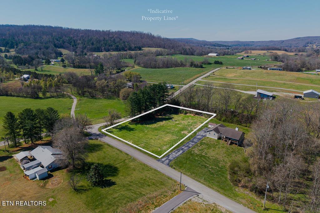 668 Webbs Camp Road Walling TN 38587