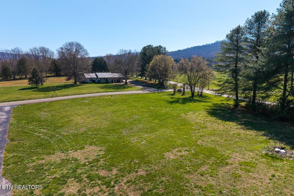 668 Webbs Camp Road Walling TN 38587