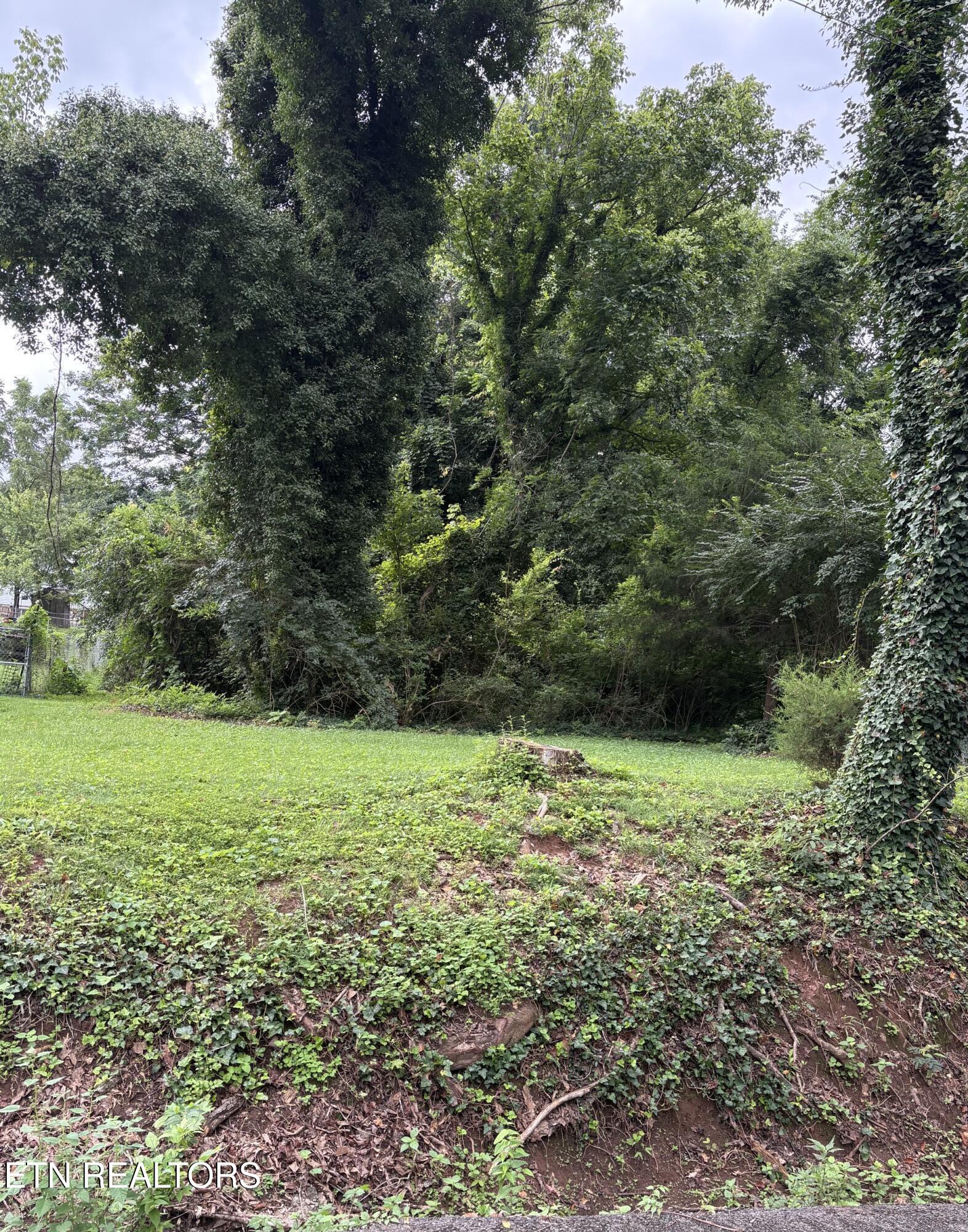 2500 Belvedere Avenue Knoxville TN 37920