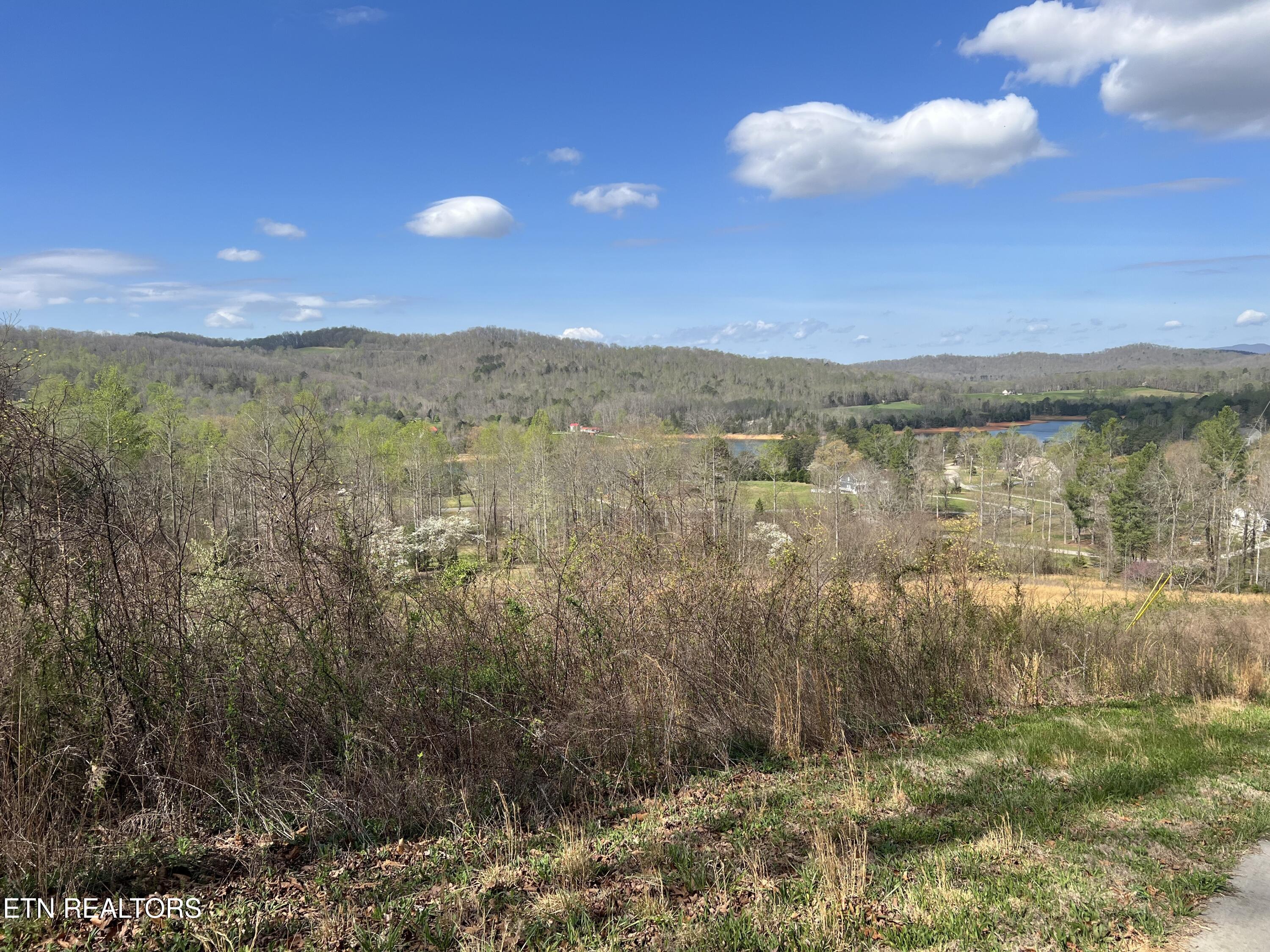 Lot 72 Pinnacle Pointe Way Sharps Chapel TN 37866