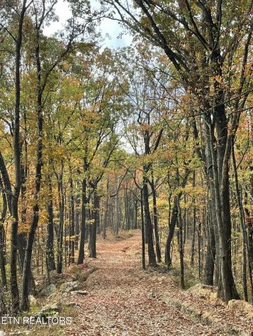 150 Timber Oaks Lane Pioneer TN 37847