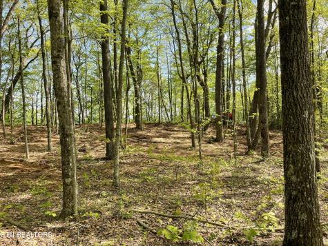 150 Timber Oaks Lane Pioneer TN 37847